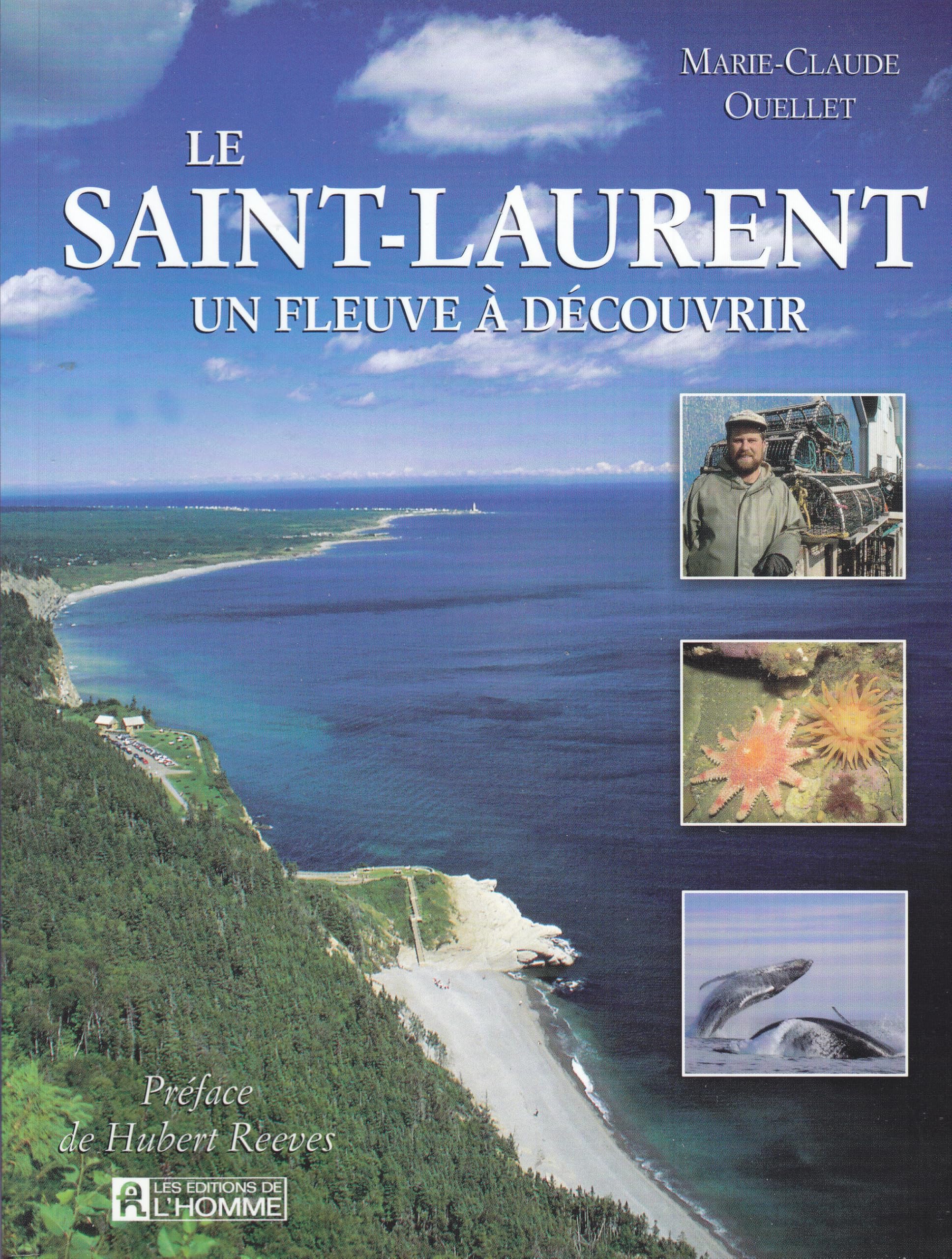 Le Saint-Laurent. Un Fleuve A Decouvrir 9782761914802
