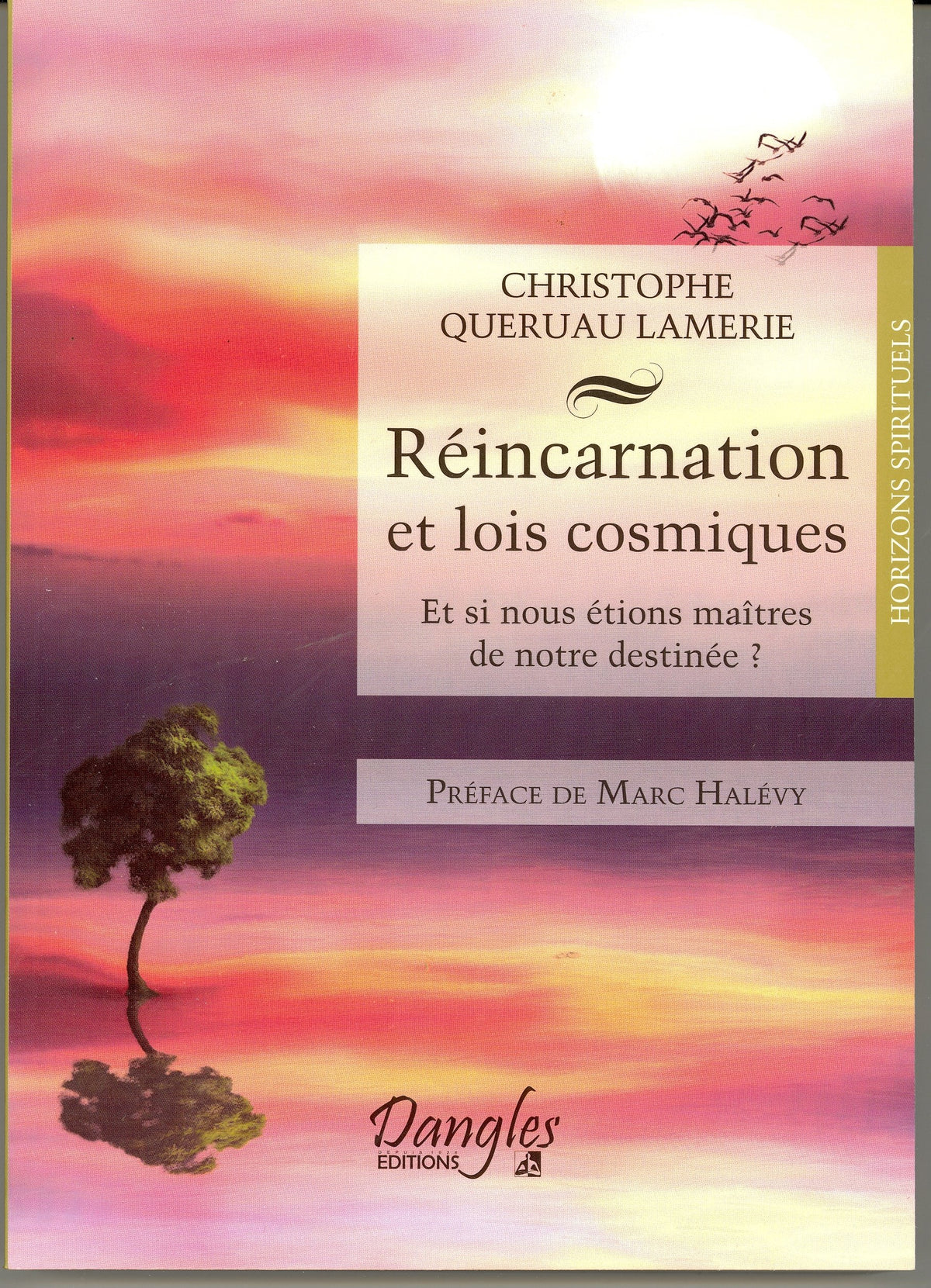 Réincarnation et lois cosmiques - Et si nous étions maîtres de notre destinée ? 9782703309505