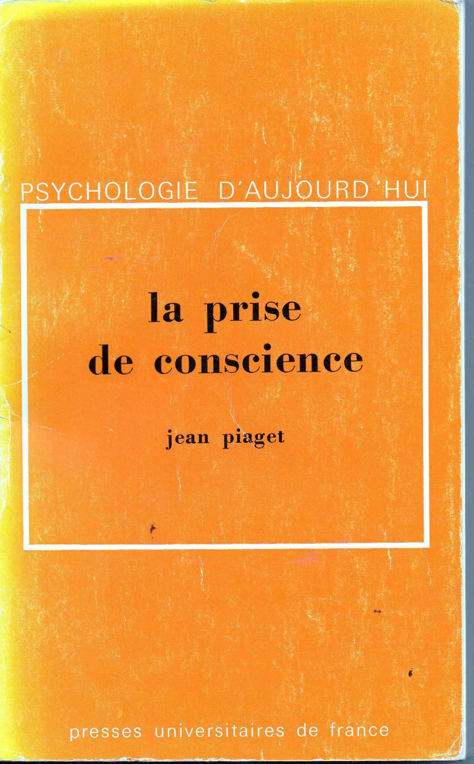 La prise de conscience 9782130329404