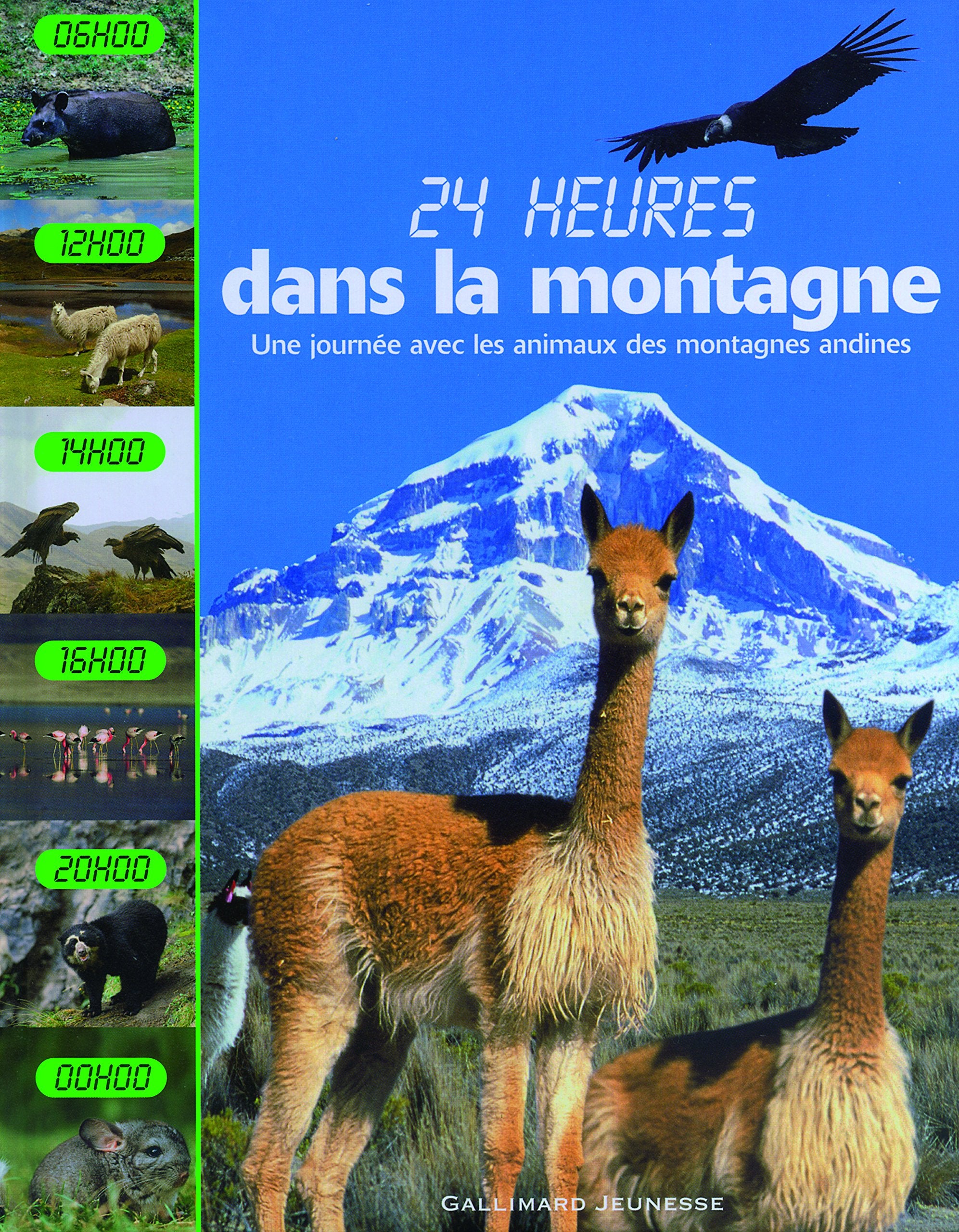 Dans la montagne 9782070613380