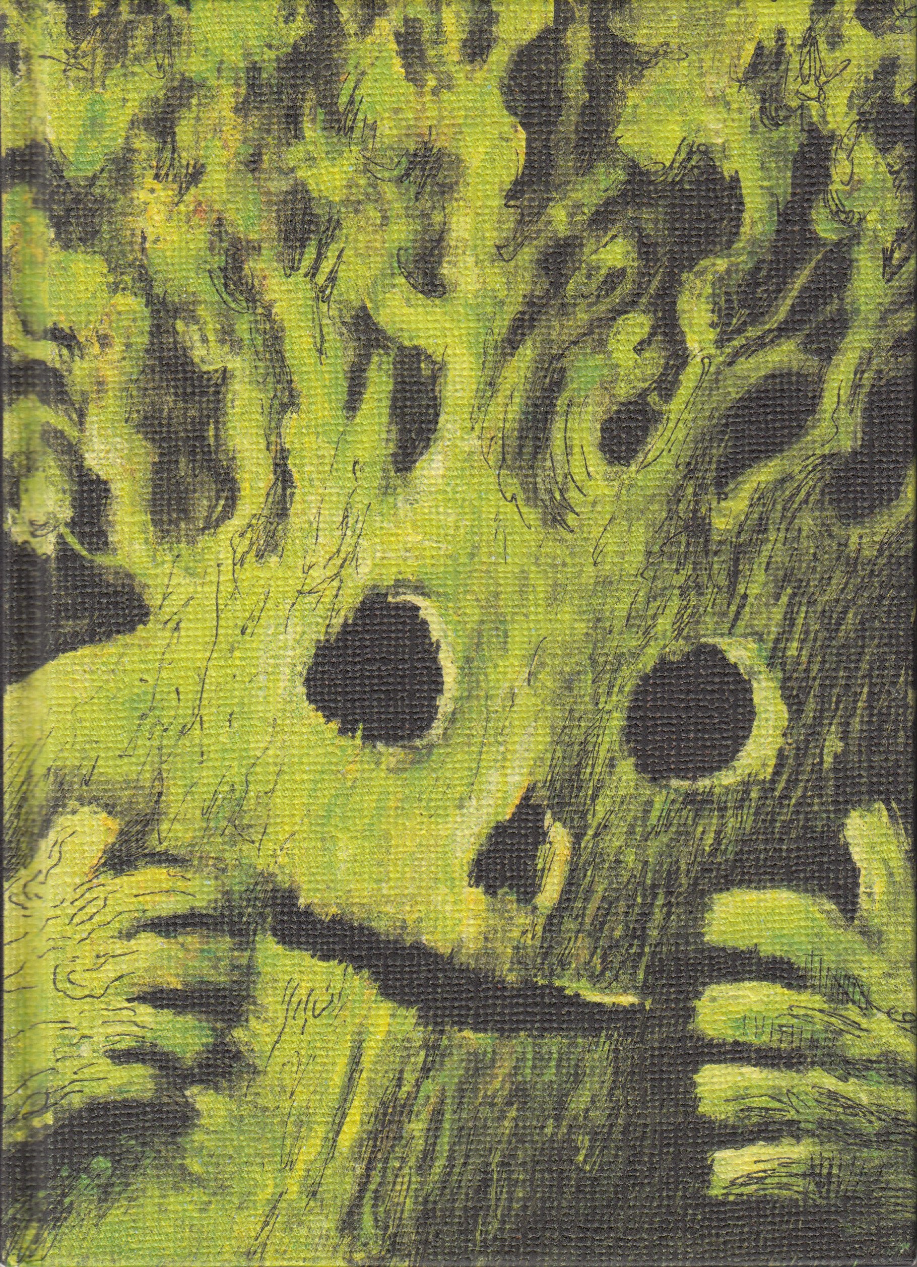 L'homme-arbre: L'Étoile Polaire (1) 9782207255186