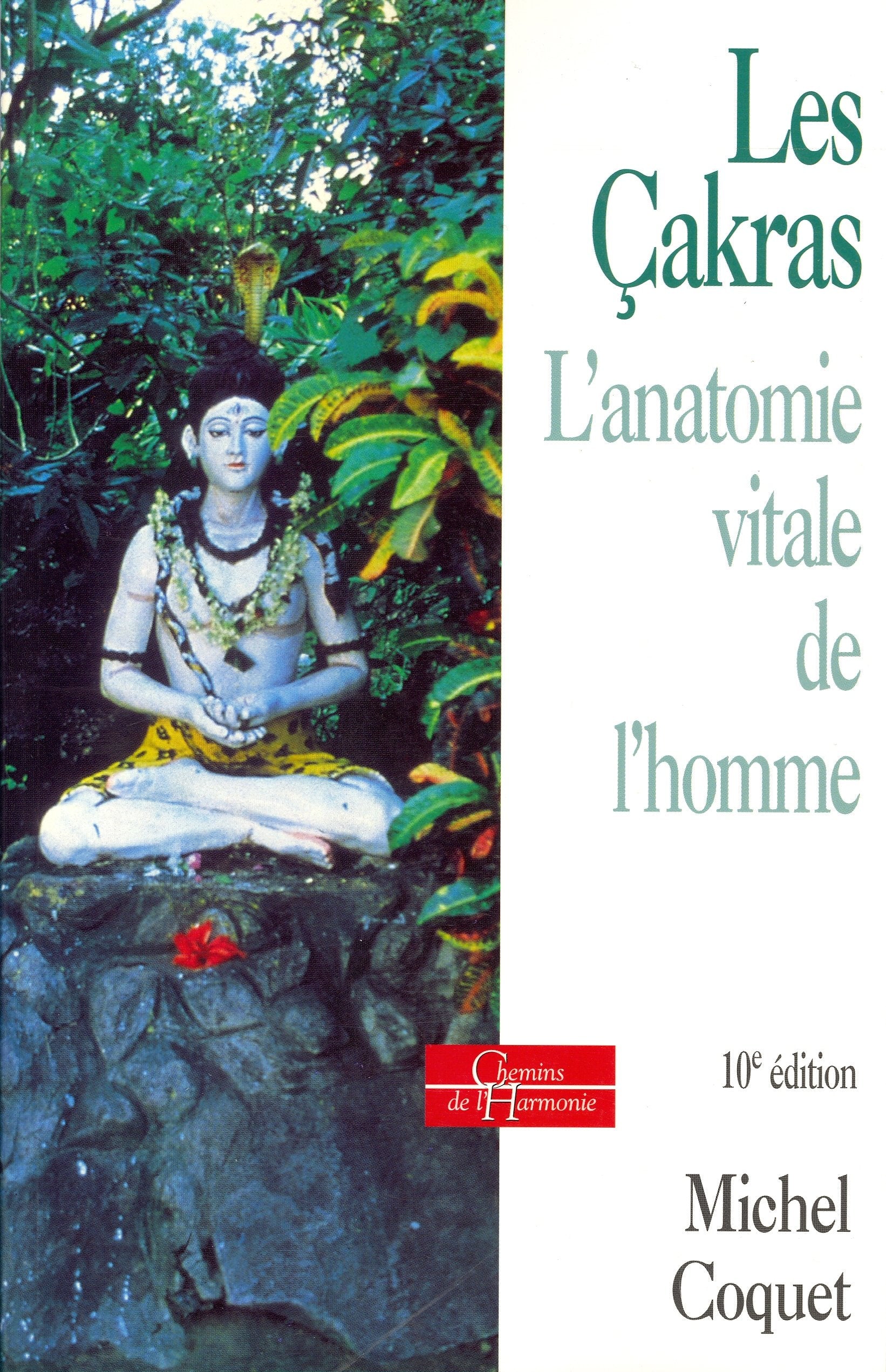 Les Çakras - L'anatomie vitale de l'homme 9782844541529