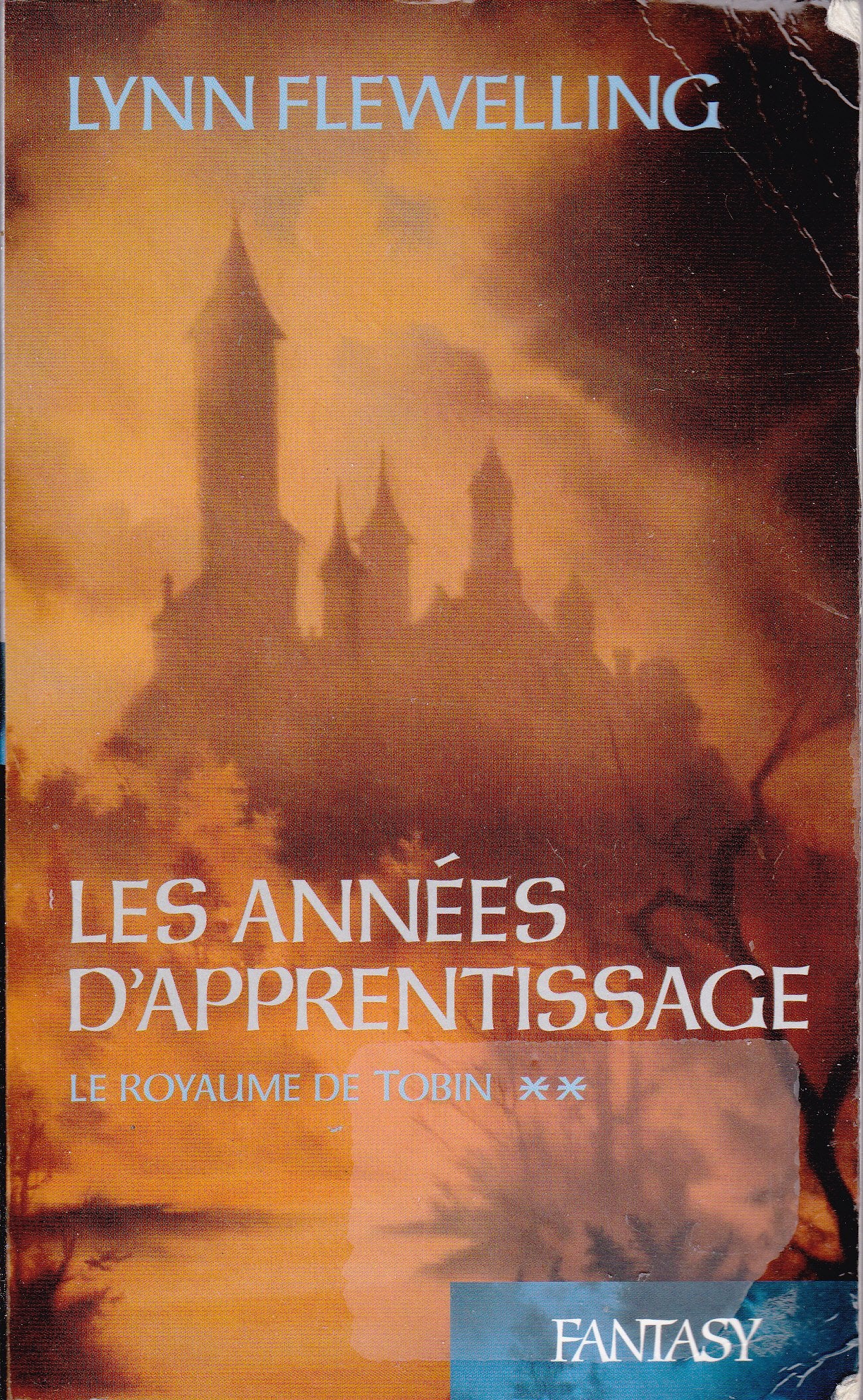 Les années d'apprentissage (Le royaume de Tobin) (Très Bon Etat) 9782744179532
