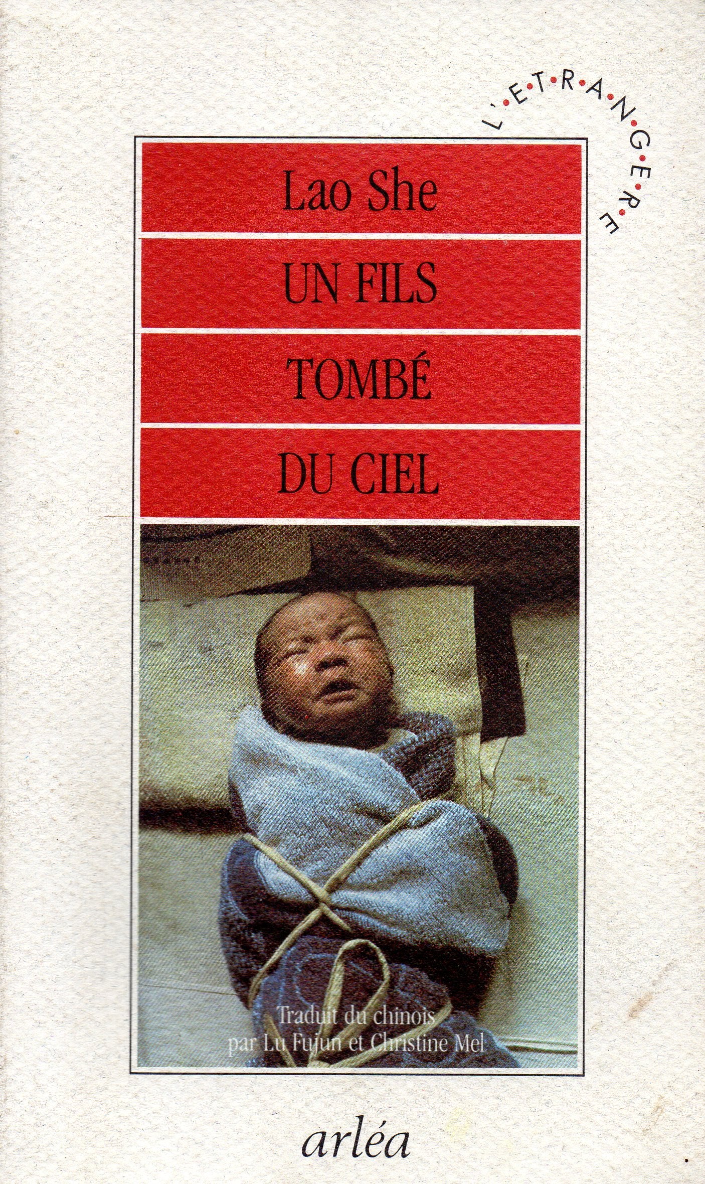 Un Fils tombé du ciel 9782869590588