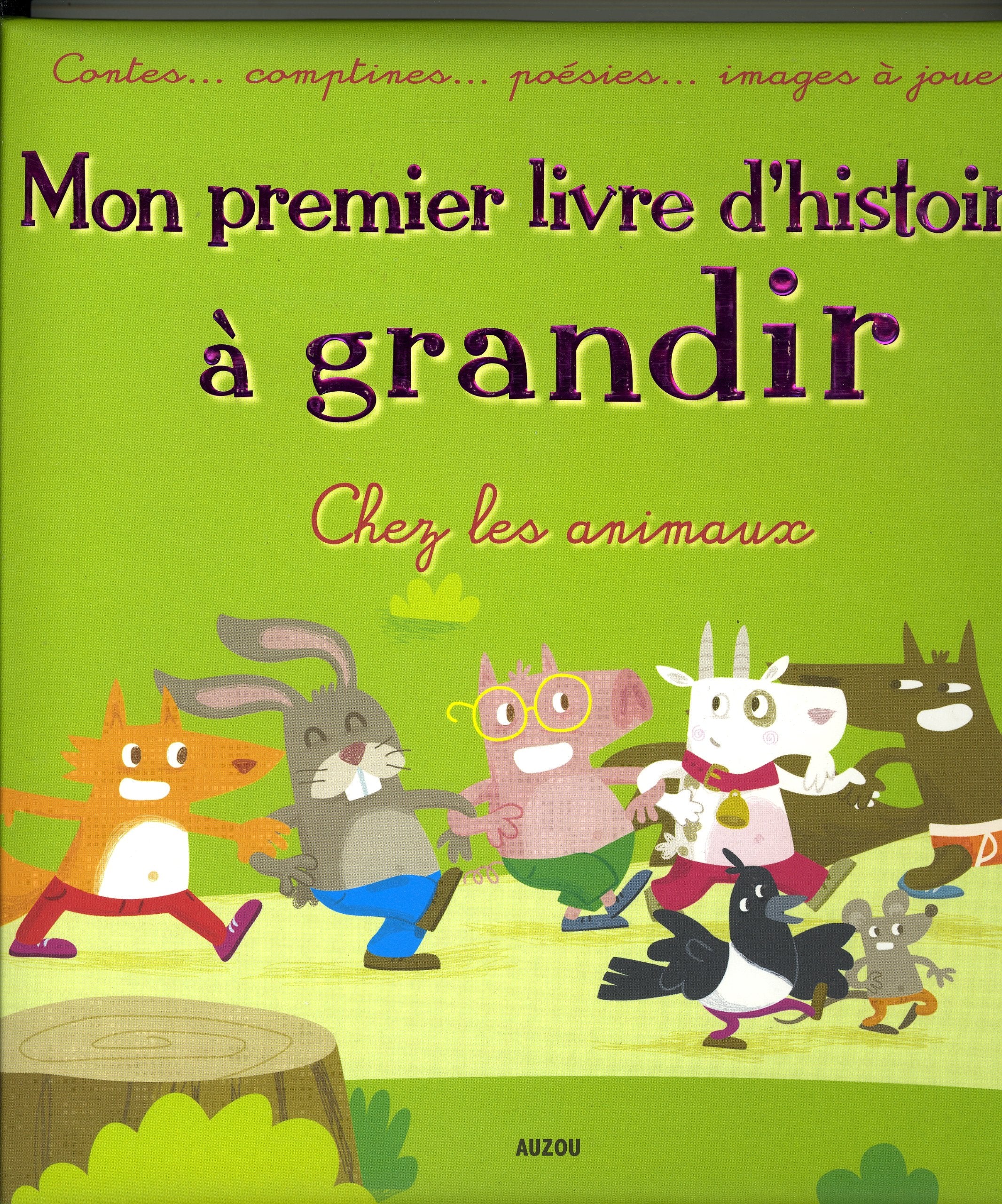 MON PREMIER LIVRE D'HISTOIRES A GRANDIR 9782733812143