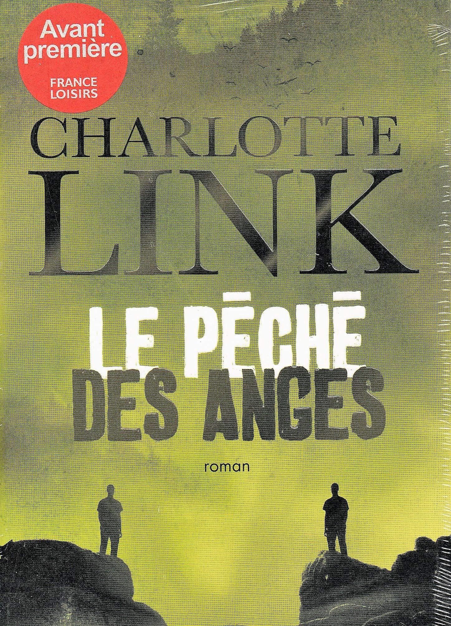 Le péché des anges 9782298048551