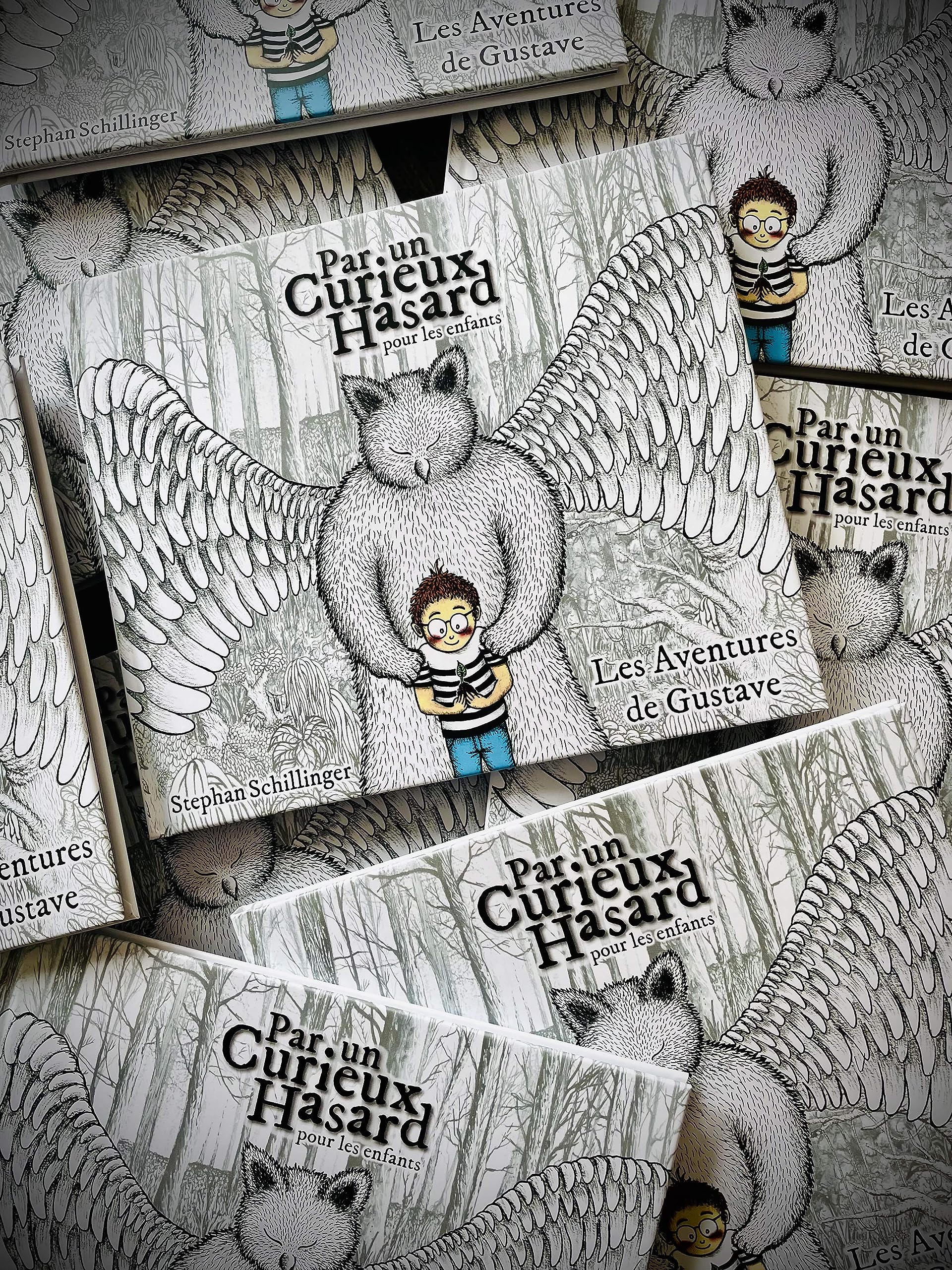 Par un Curieux Hasard pour les enfants - Les Aventures de Gustave 9782958274306