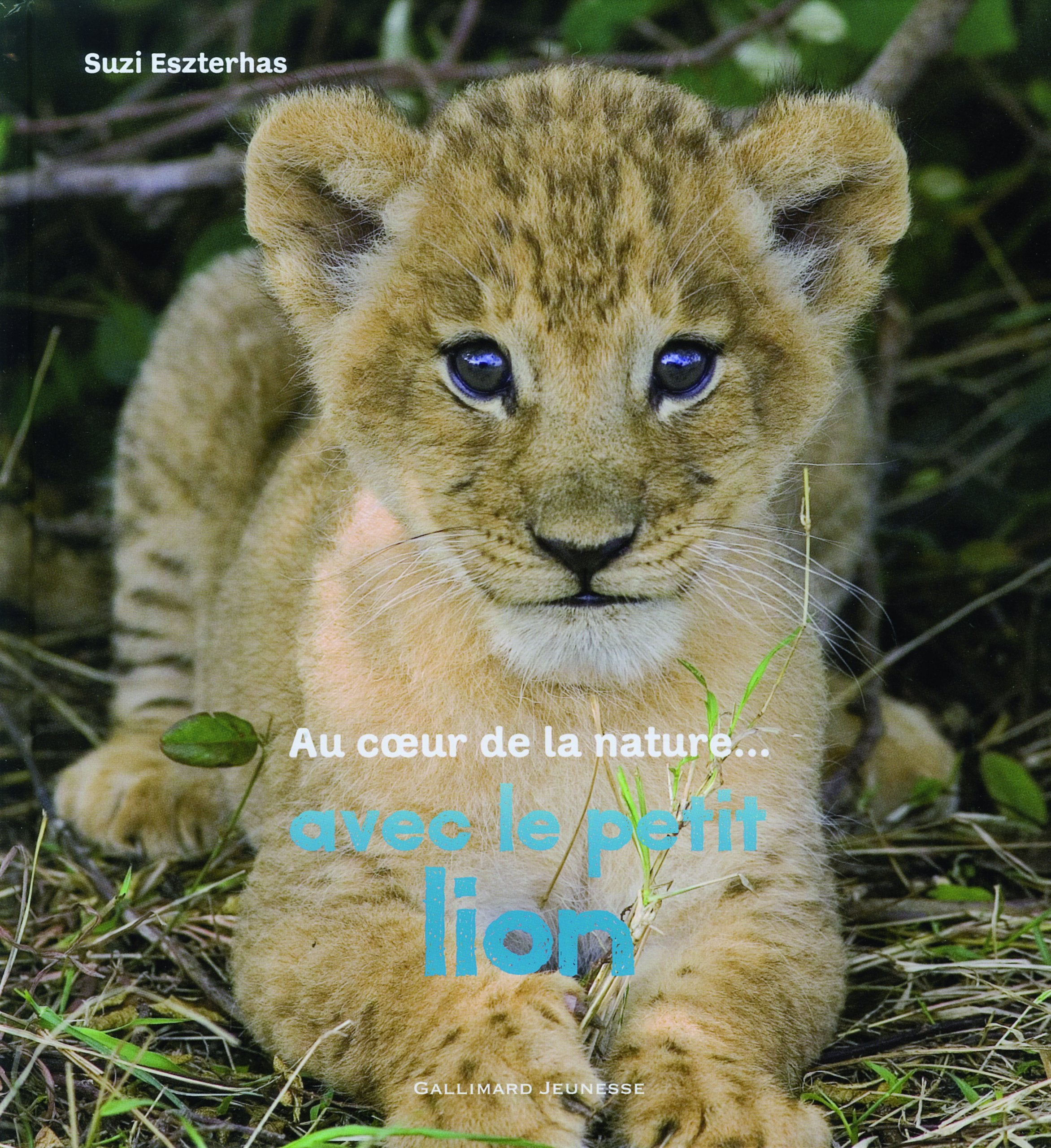 Au cœur de la nature... avec le petit lion 9782070644117