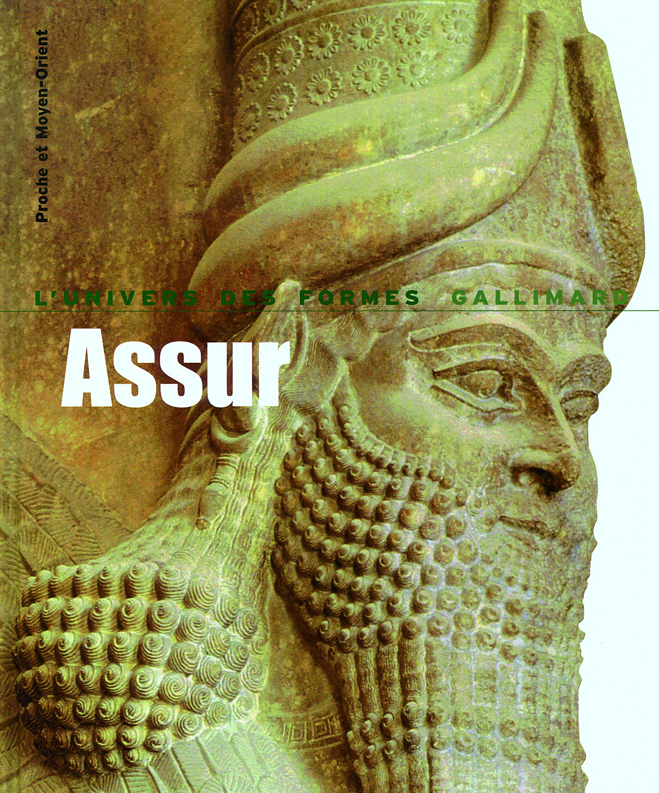 Proche et Moyen-Orient : Assur 9782070118618