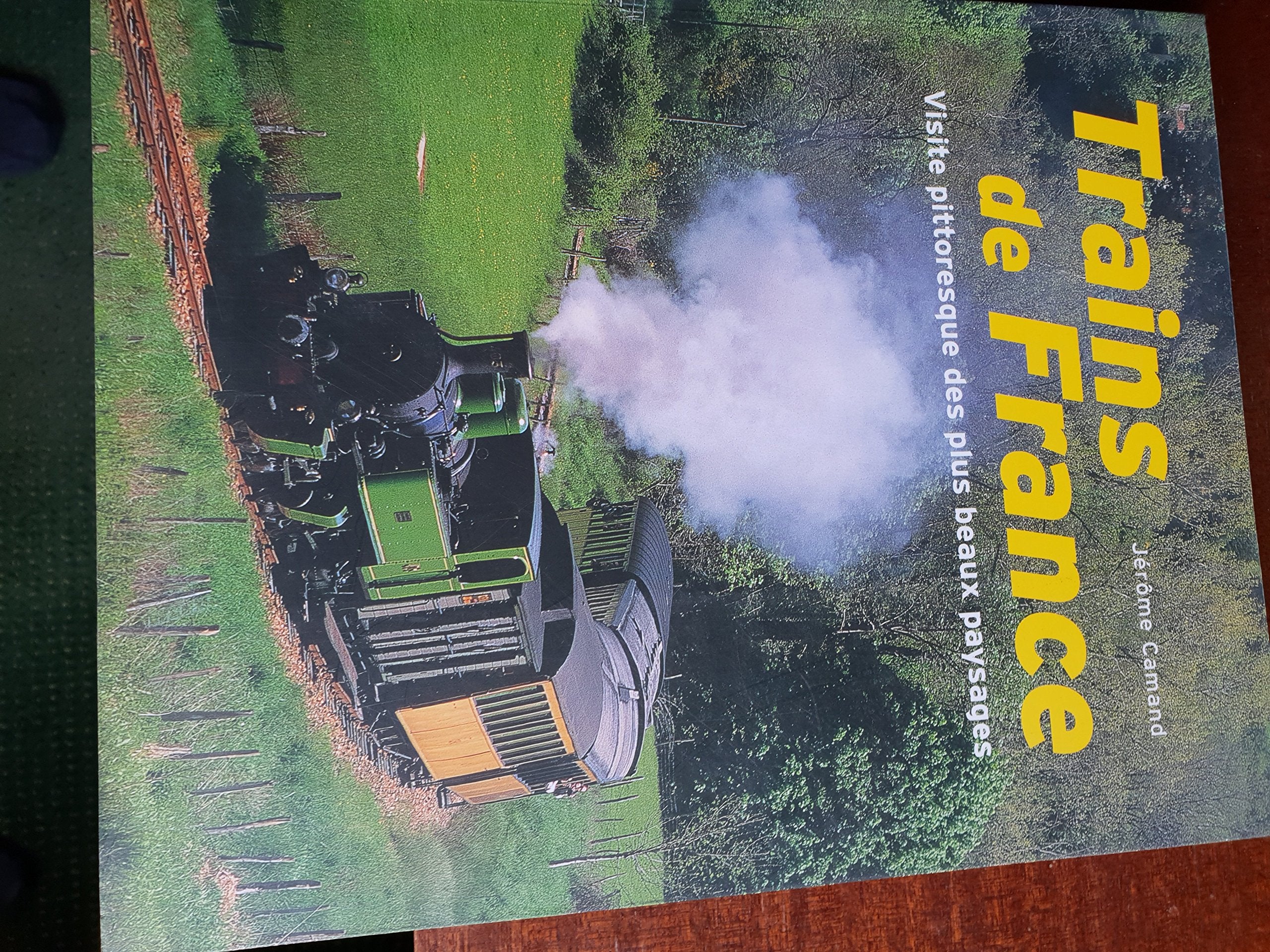 Trains de France: Visite pittoresque des plus beaux paysages 9782738223418