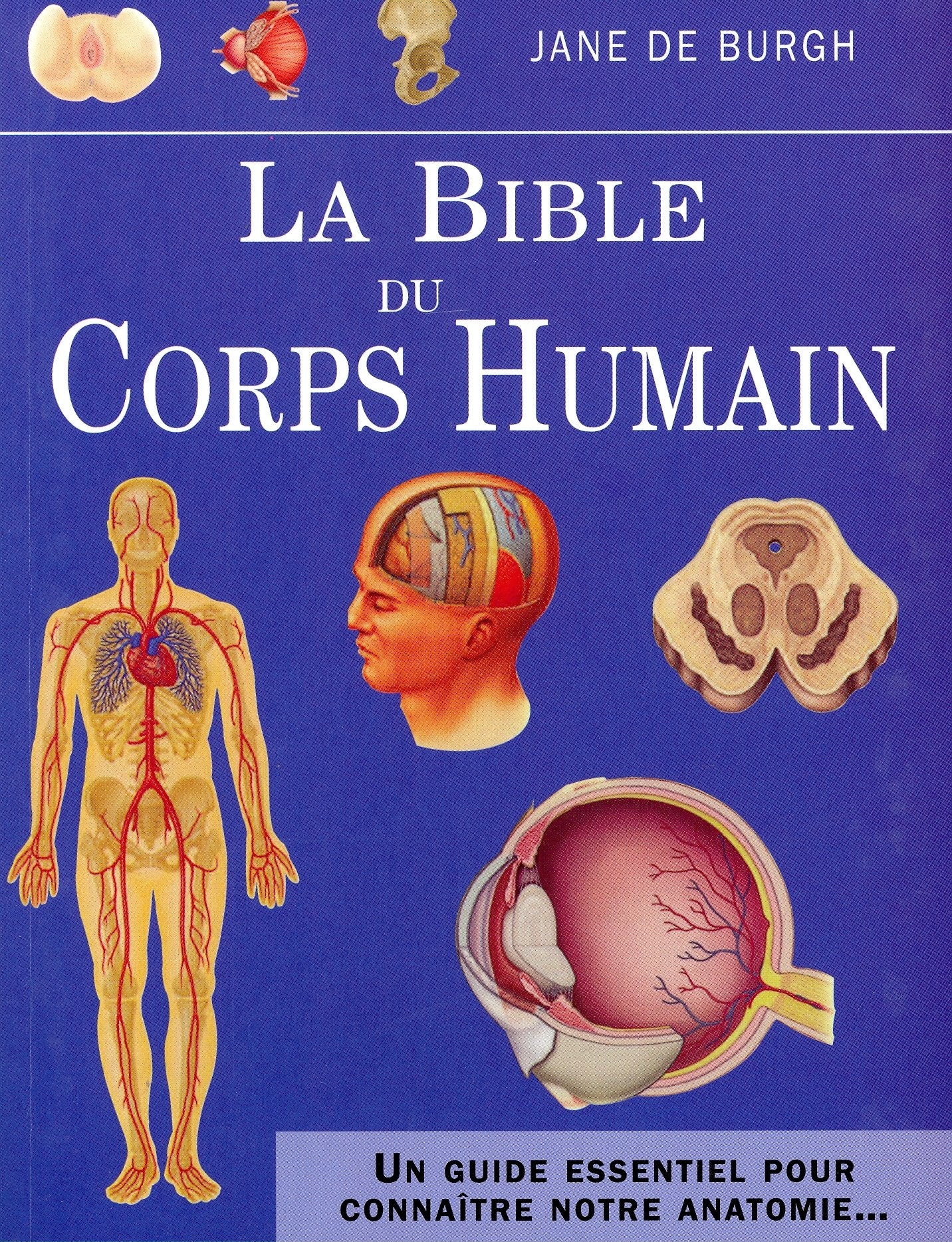 La bible du corps humain: Un guide essentiel pour connaître notre anatomie... 9782813203090