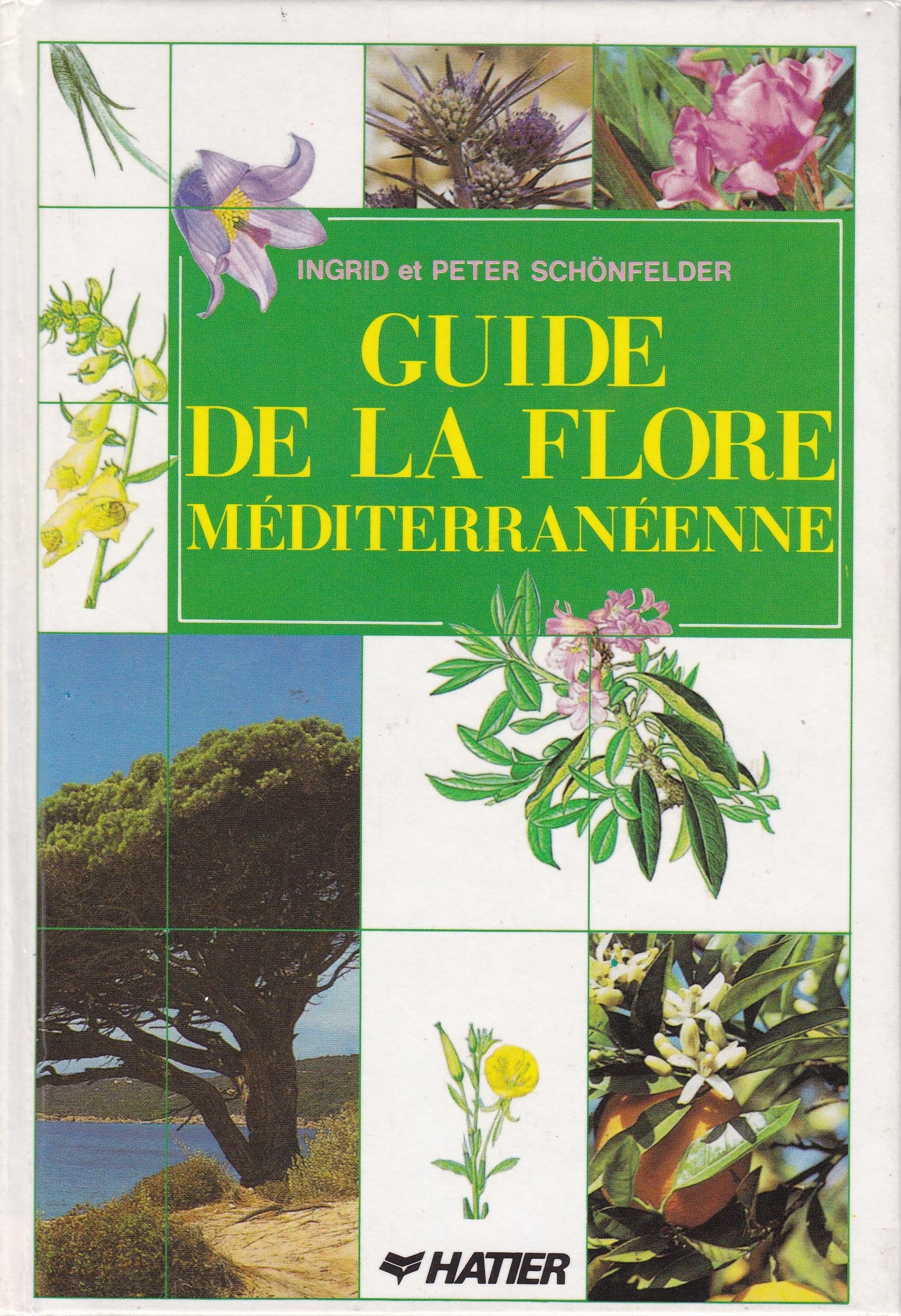 Guide de la flore méditerranéenne 9782218017360