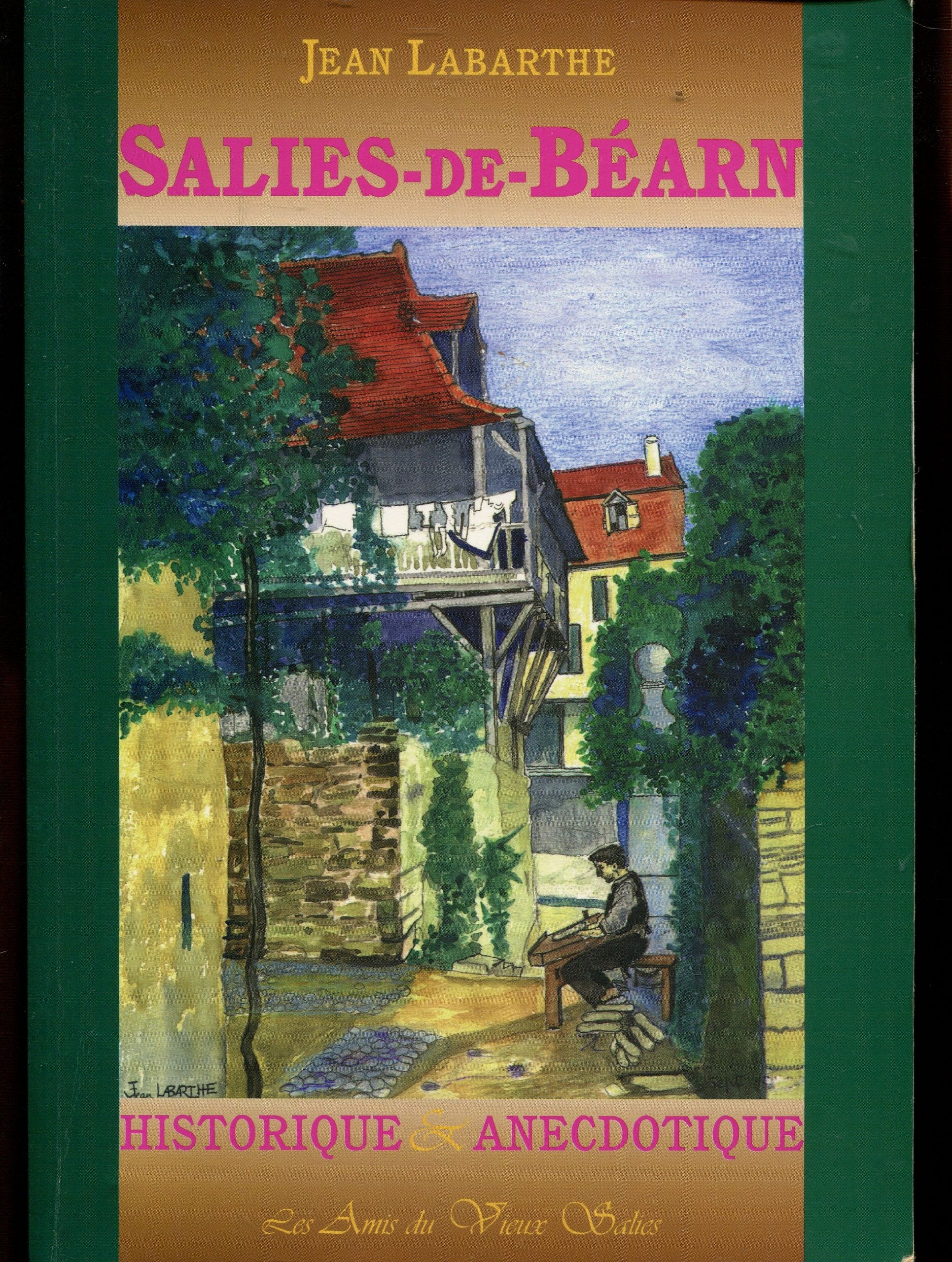 Salies-de-Béarn : Historique et anecdotique 9782951023000
