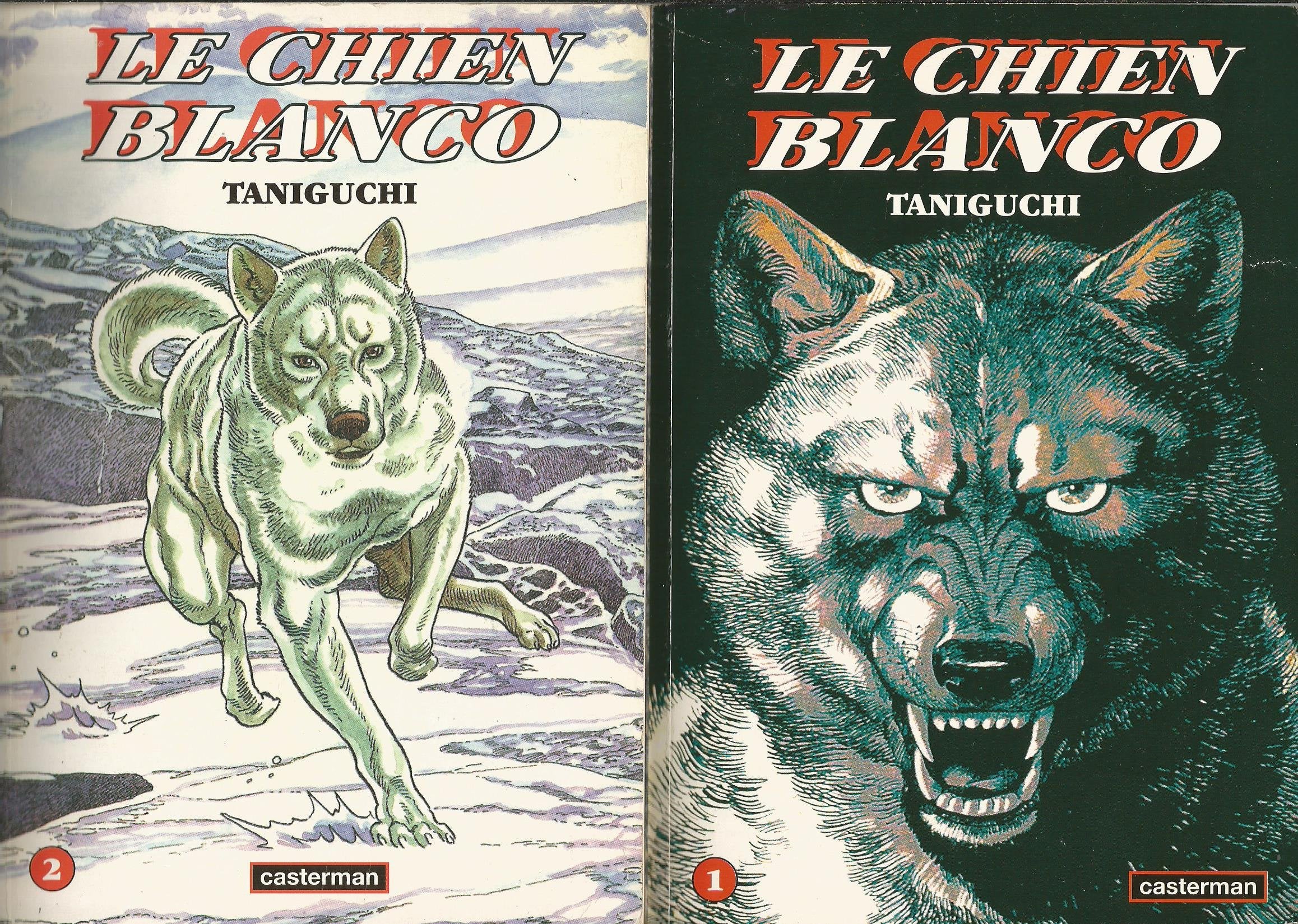 Le Chien Blanco, tome 2 9782203372207