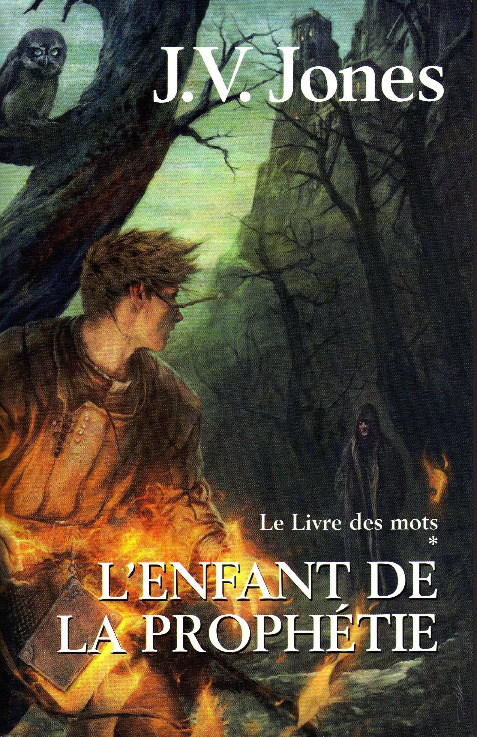 L'enfant de la prophétie 9782298006131