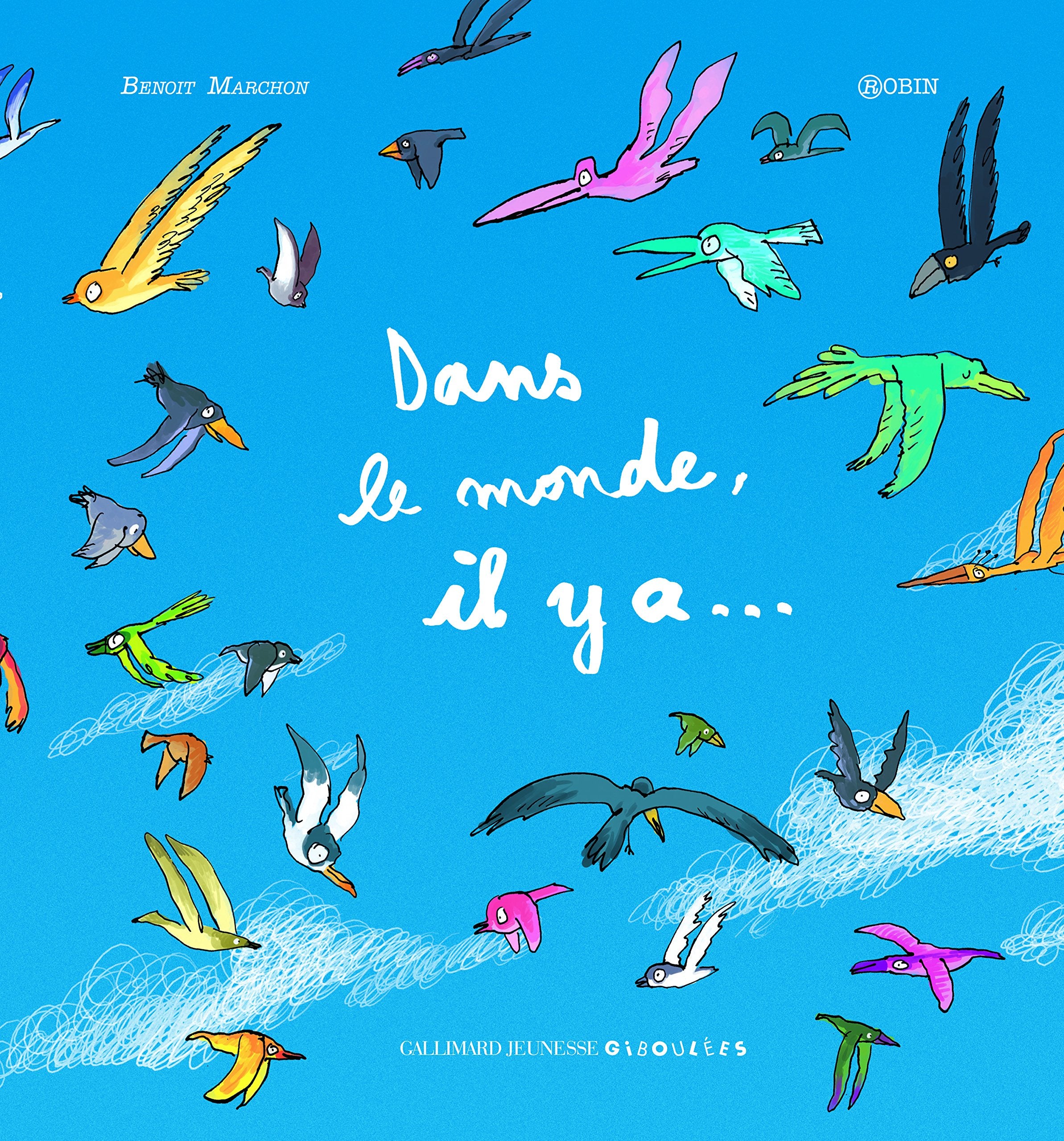 DANS LE MONDE, IL Y A... - A partir de 6 ans 9782070623389