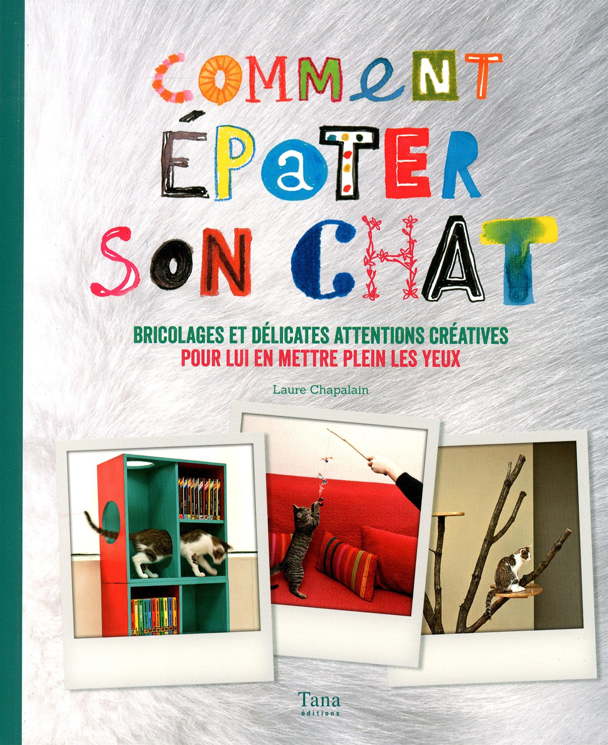 Comment épater son chat 9782845679511