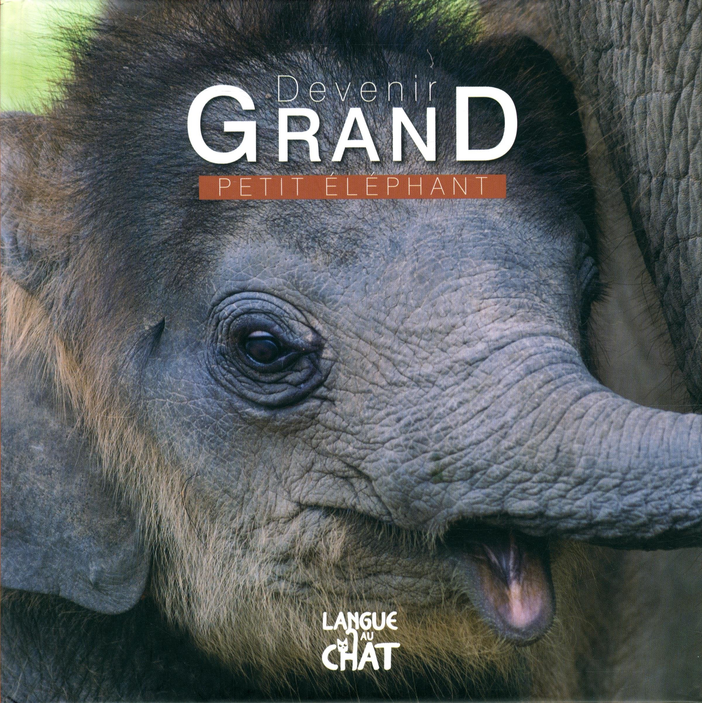 Devenir grand - Petit éléphant 9782806306043