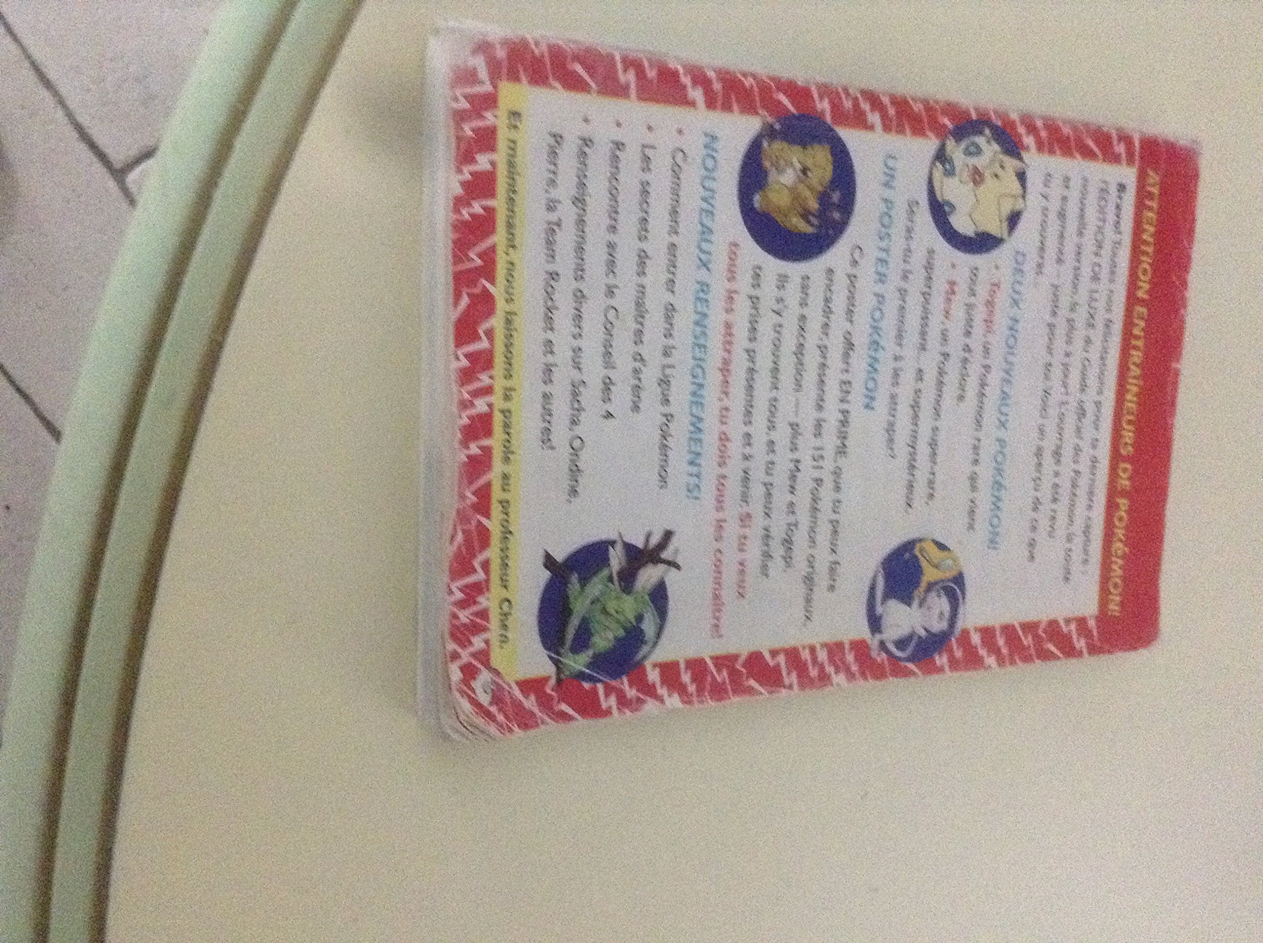 Le Guide officiel des Pokemon 9782070544165