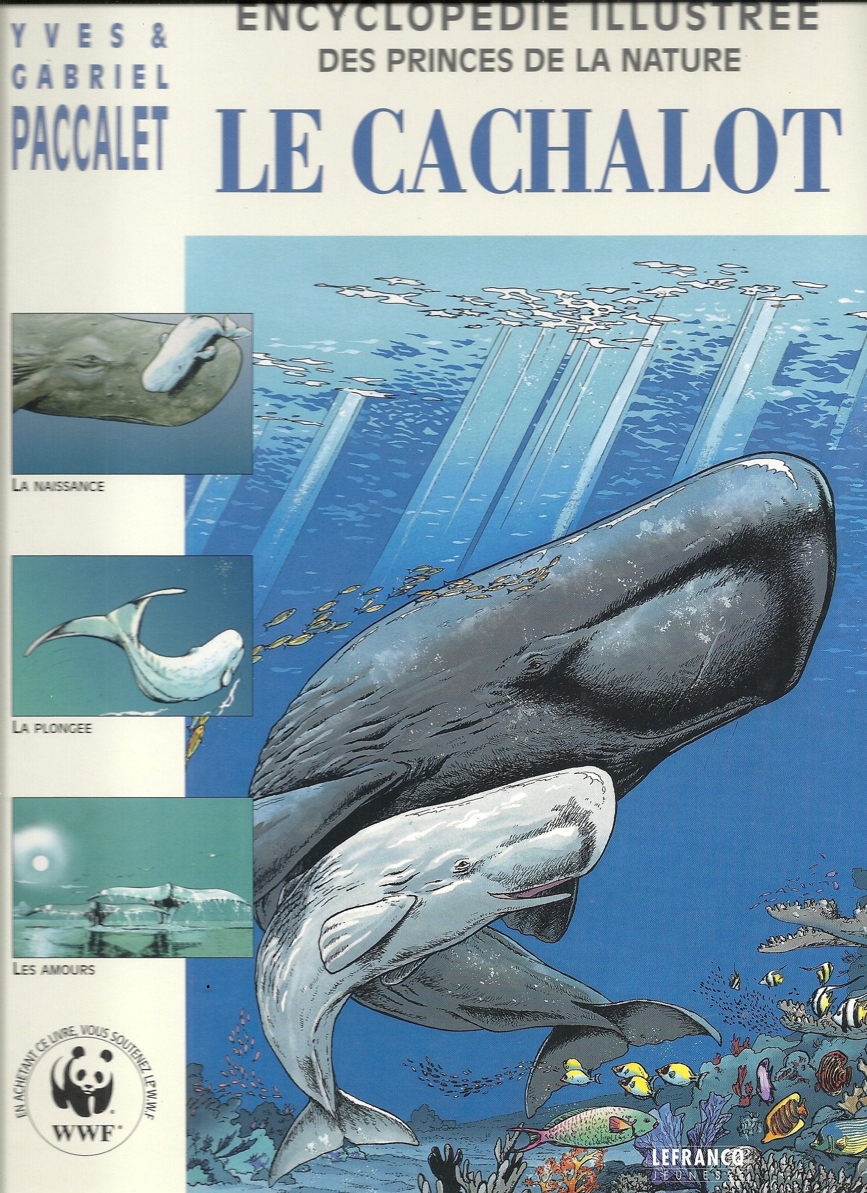 Le Cachalot 9782871532927