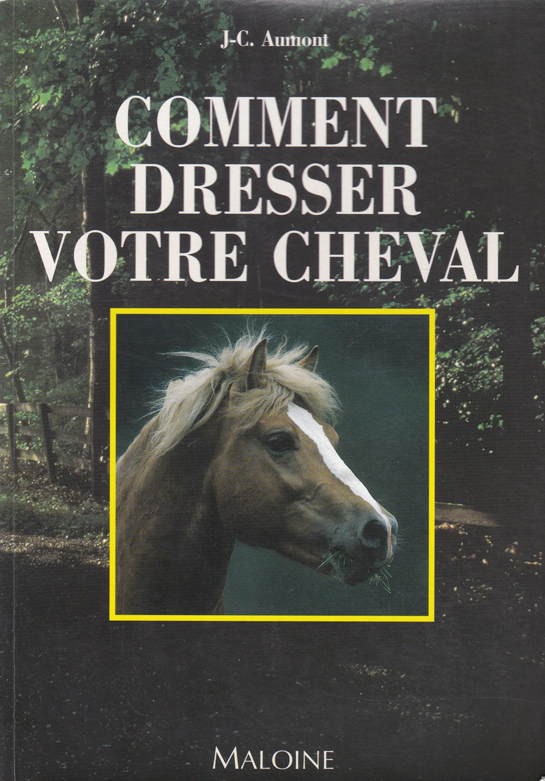 Comment dresser votre cheval 9782224024123