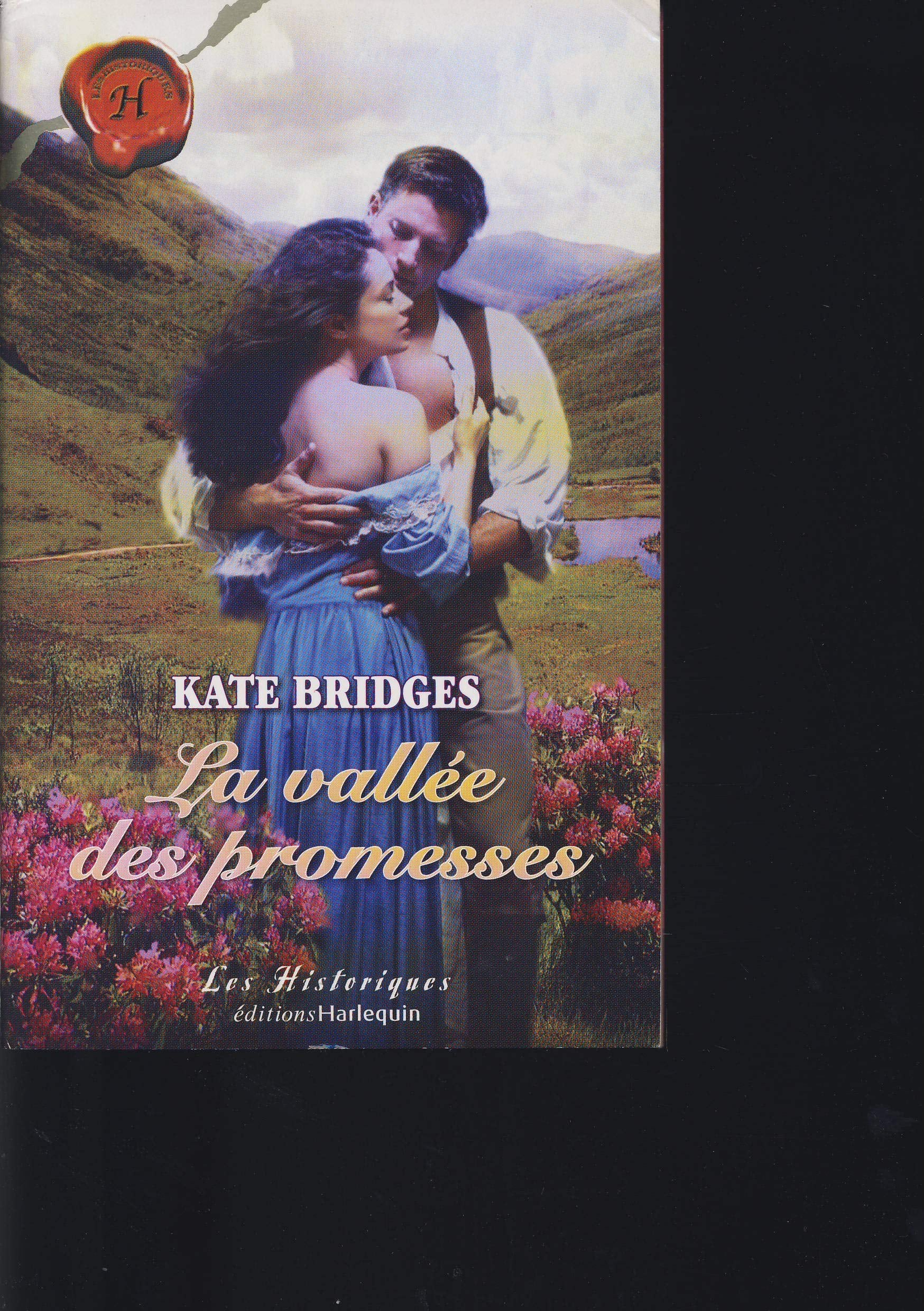 La vallée des promesses 9782280175562