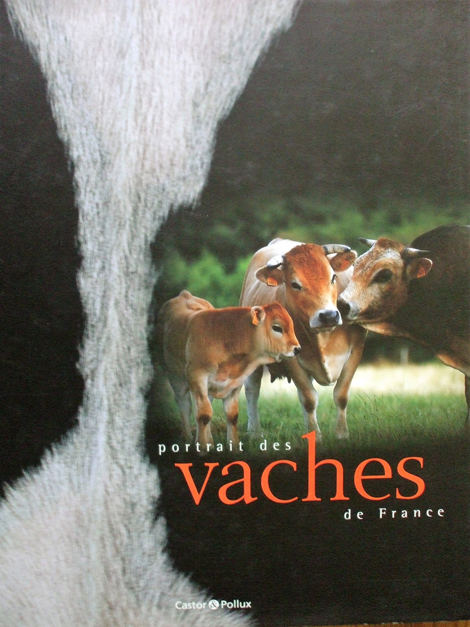 Portrait des vaches de France 9782912756770