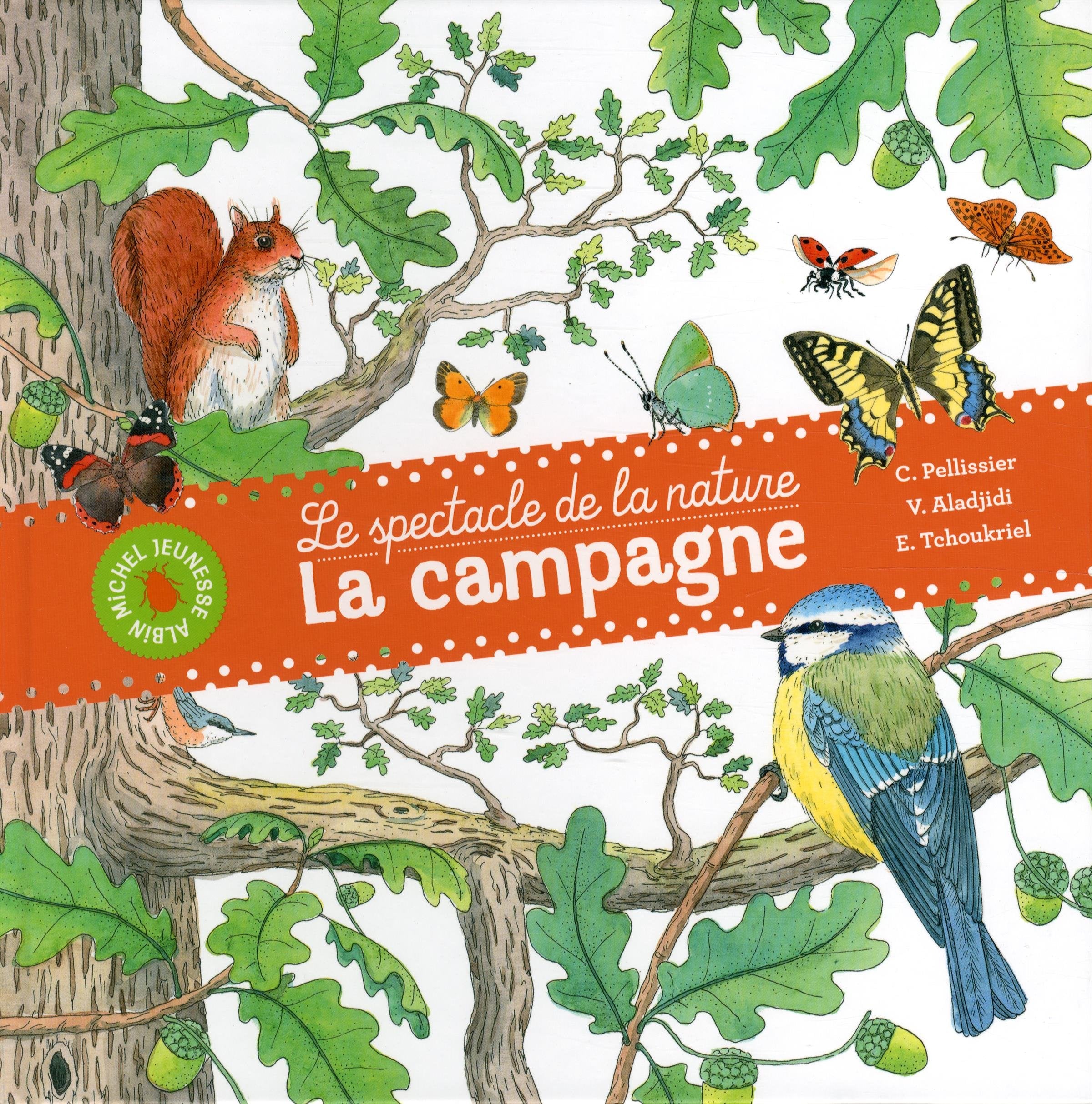 La Campagne: Le spectacle de la nature 9782226254986