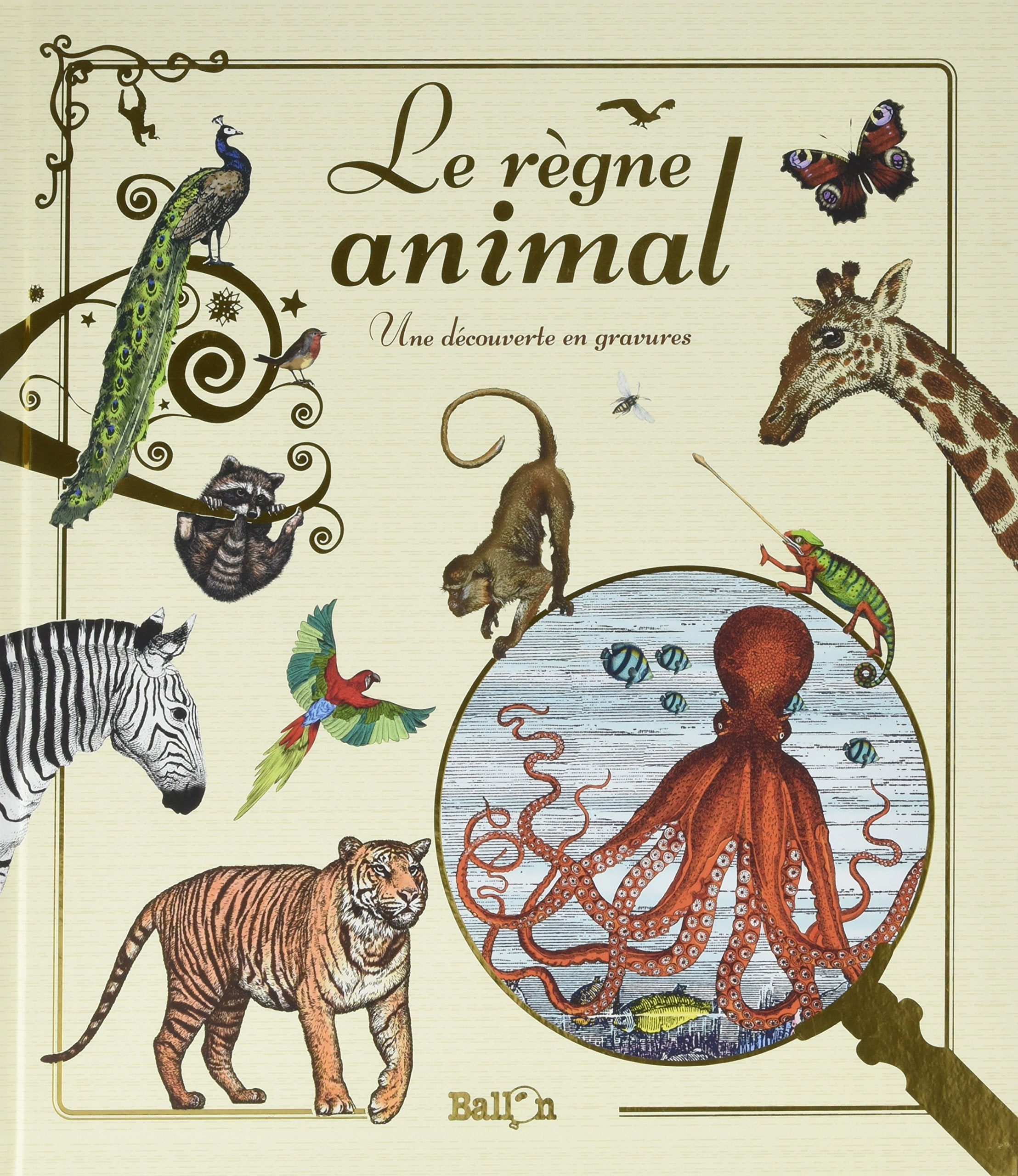 Le règne animal: Une découverte en gravures 9789463074124