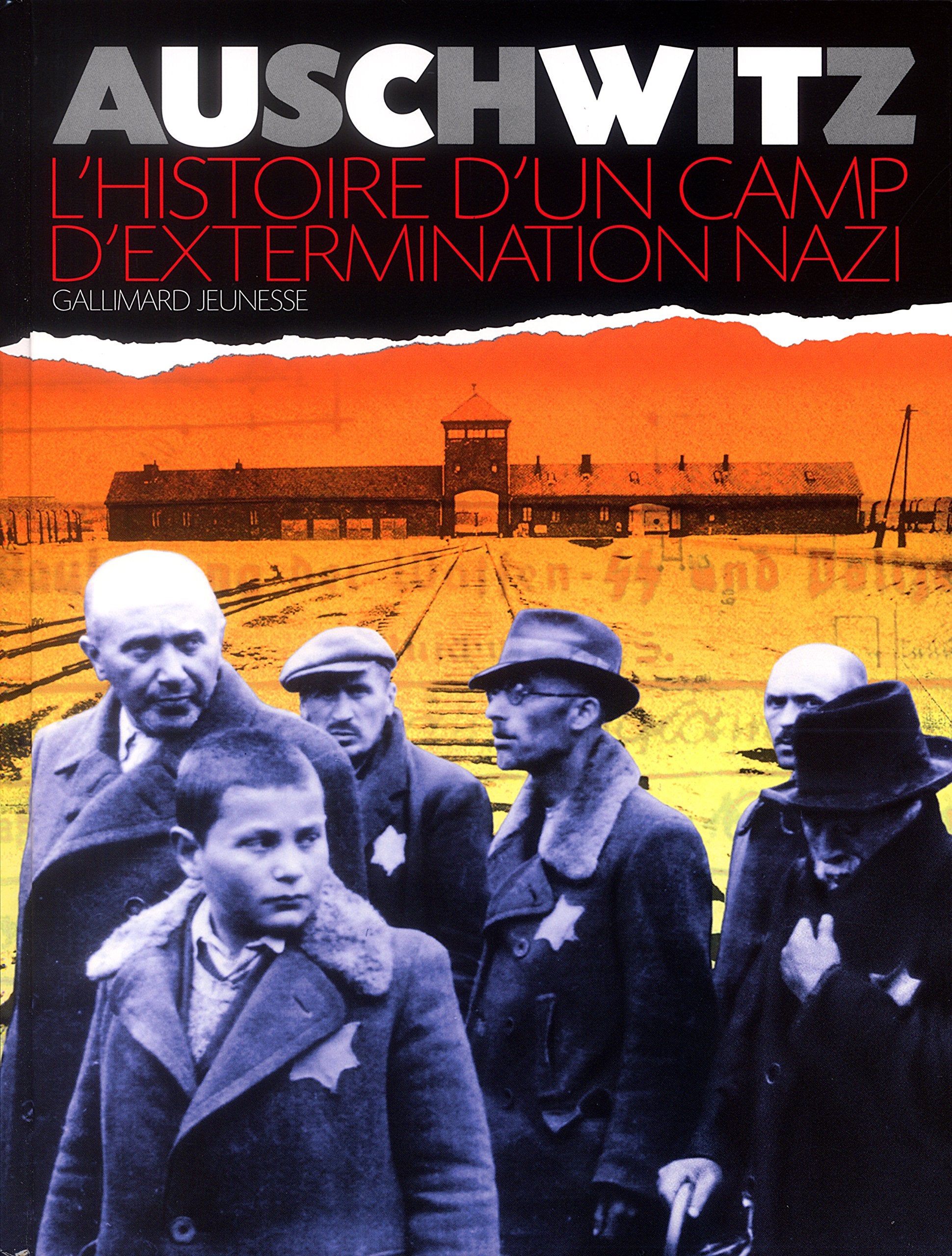 Auschwitz : L'Histoire d'un camp d'extermination nazi 9782070539109