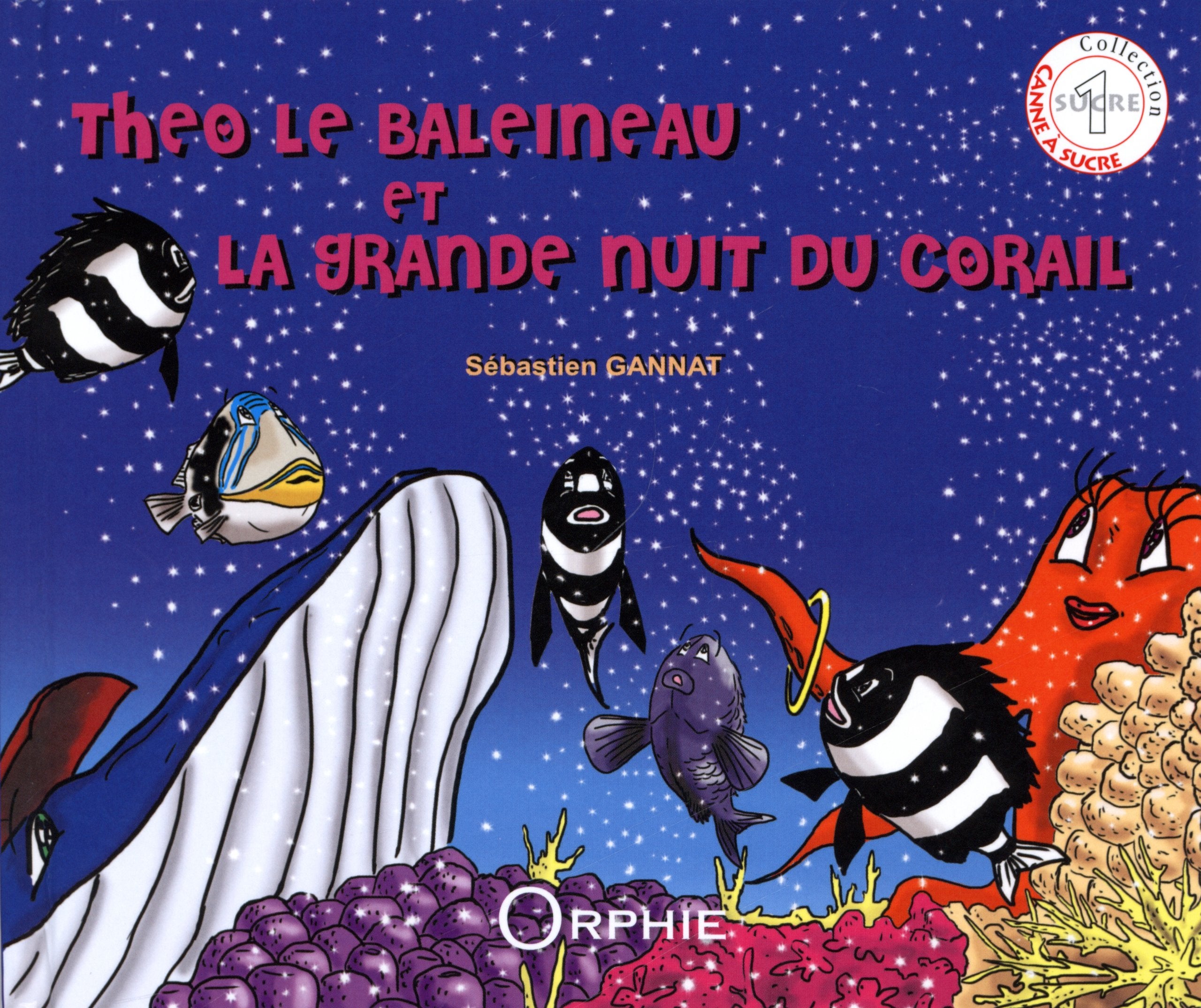 Théo le baleineau et la grande nuit du corail 9782877638203