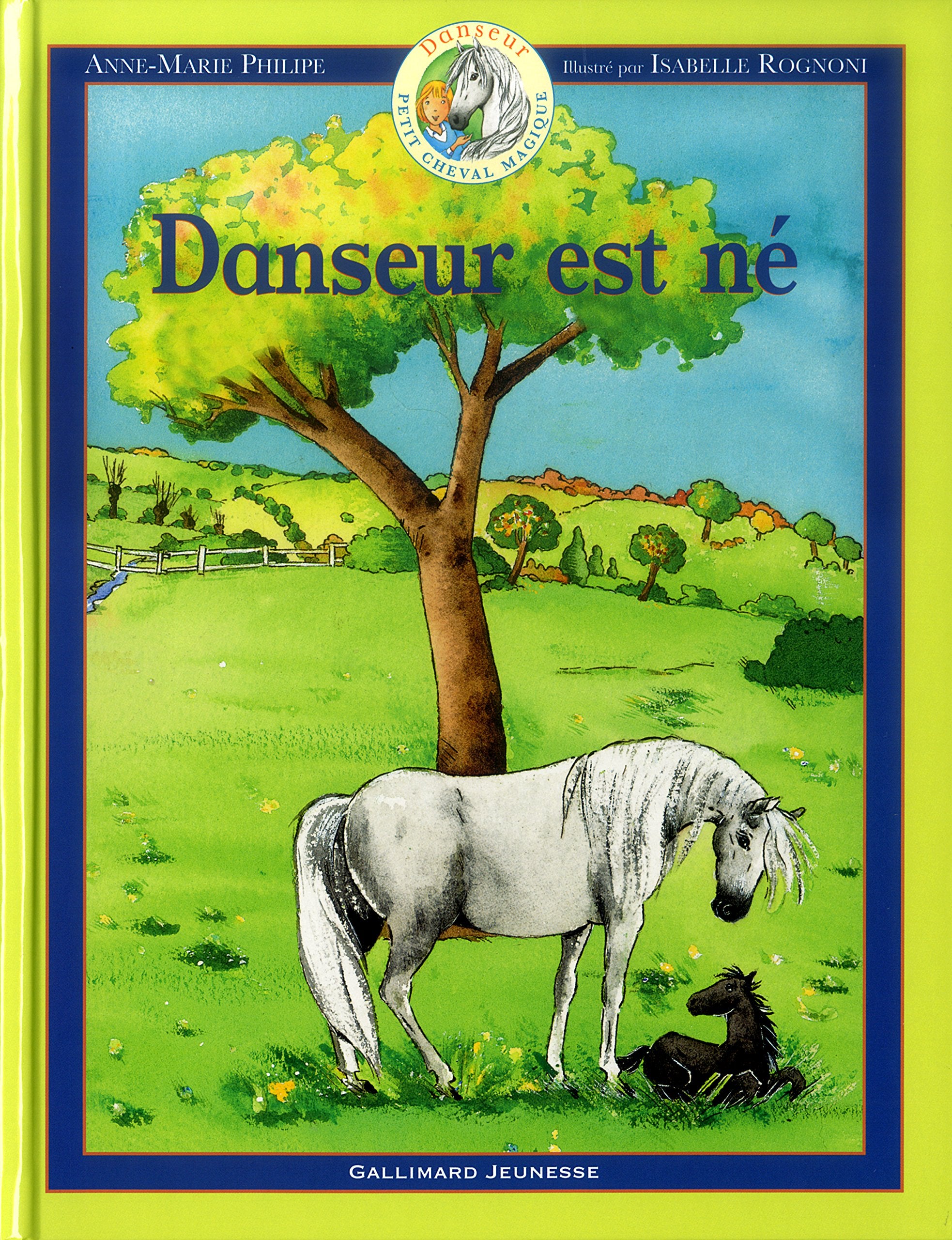 Danseur est né 9782070556144