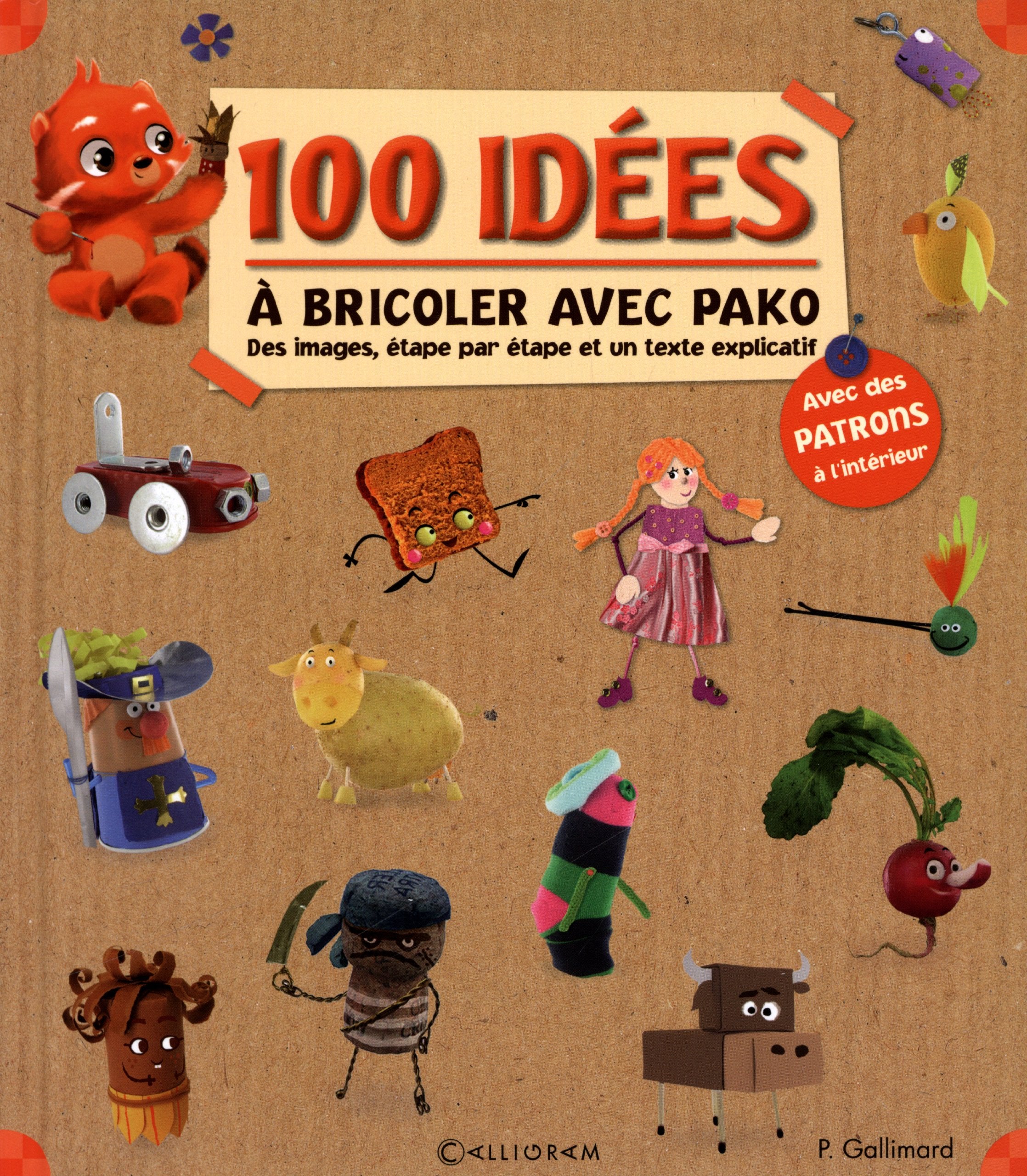 100 idées à bricoler avec Pako 9782884806176