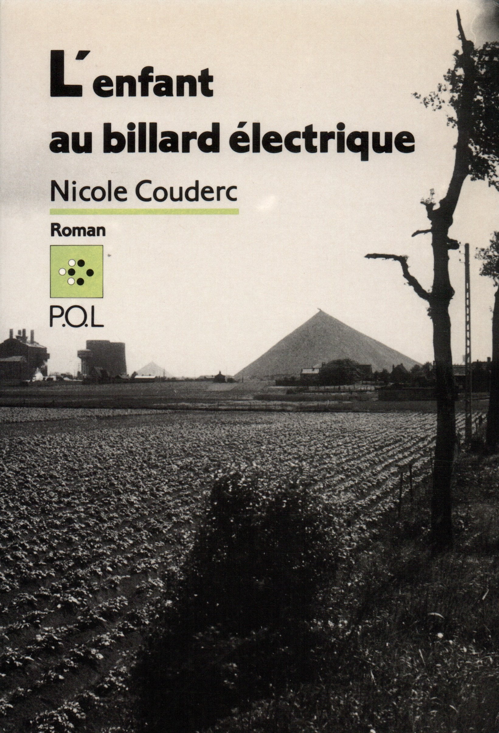 L'Enfant au billard électrique 9782867442643