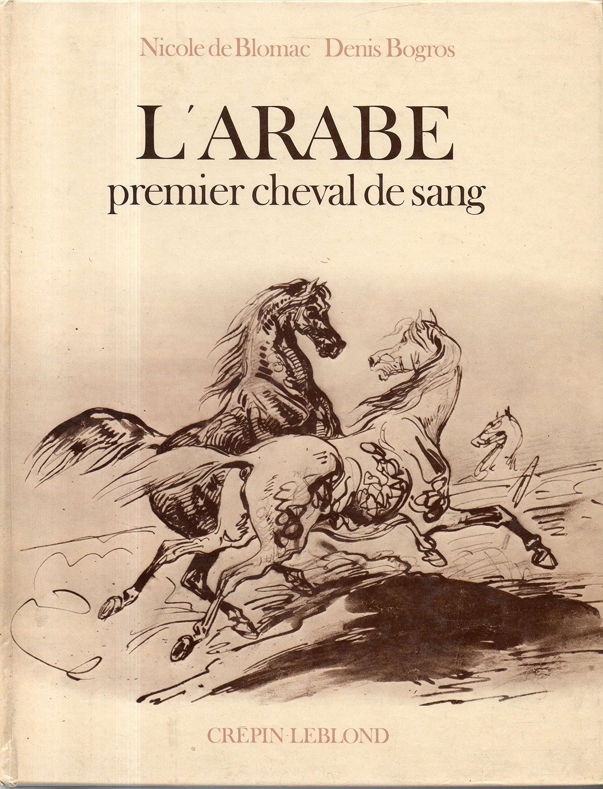 L'Arabe, premier cheval de sang