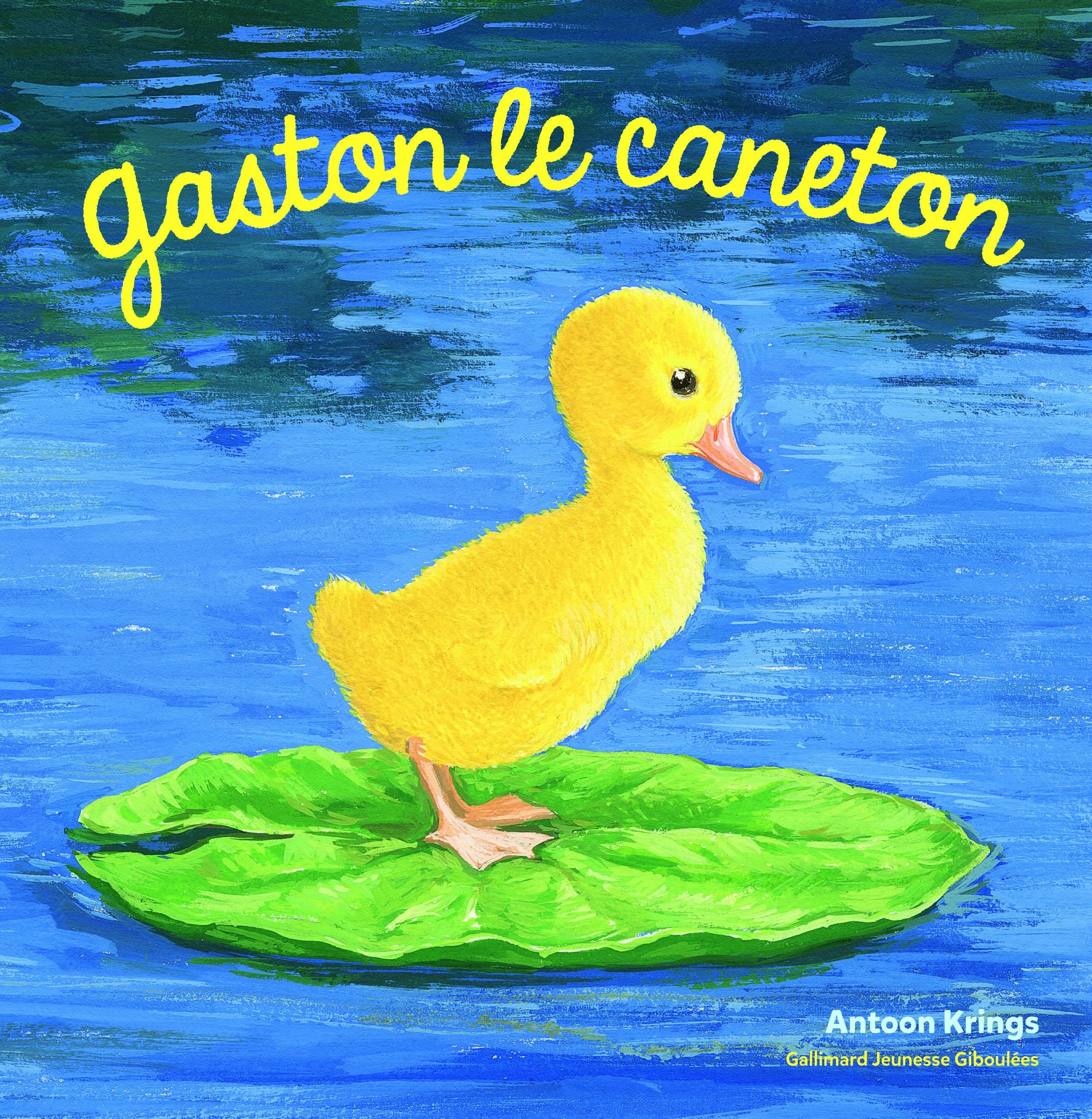 Les Drôles de Petites Bêtes - GASTON LE CANETON 9782075074469