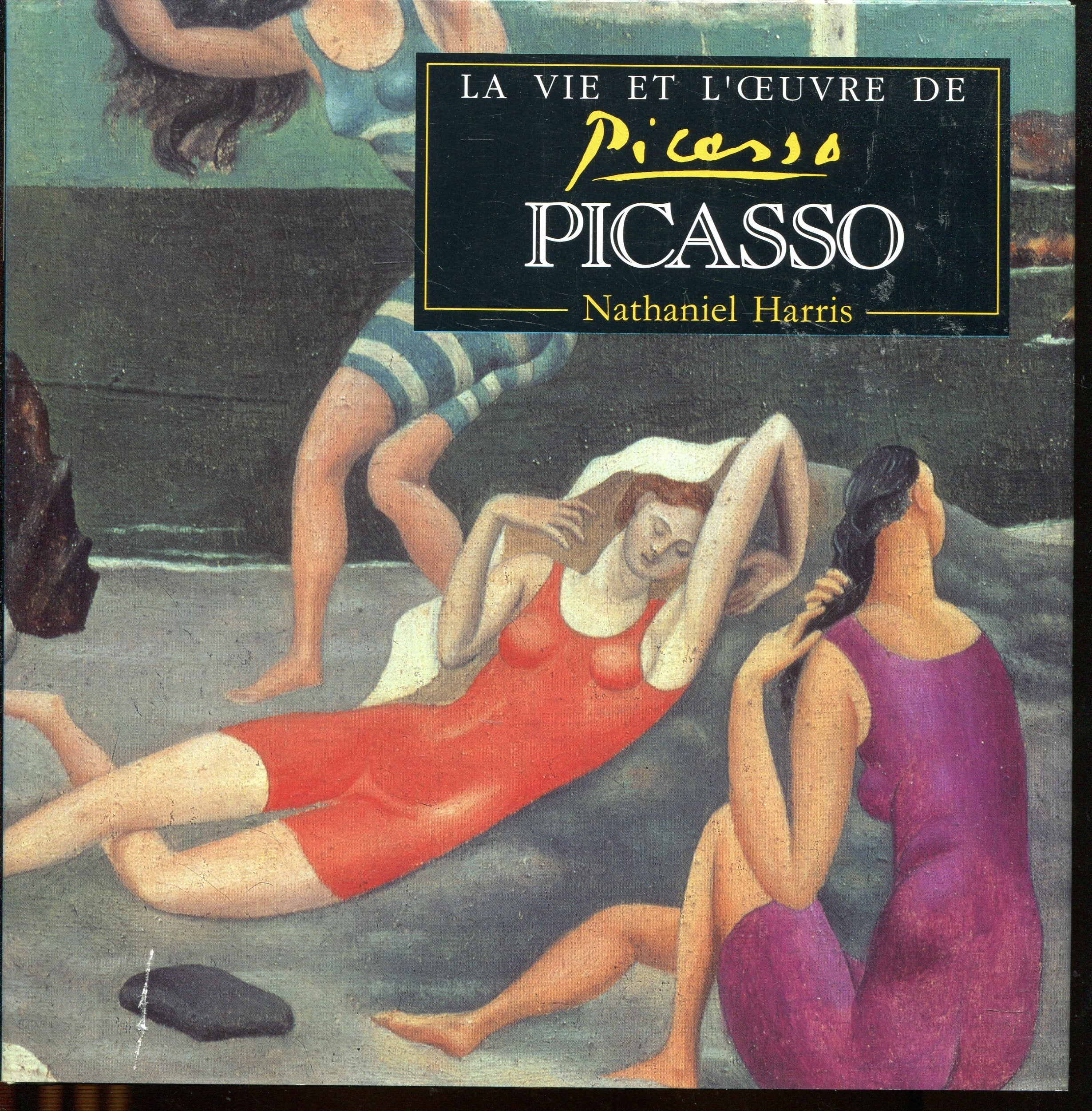 La vie et l'oeuvre de Picasso 9782842160432