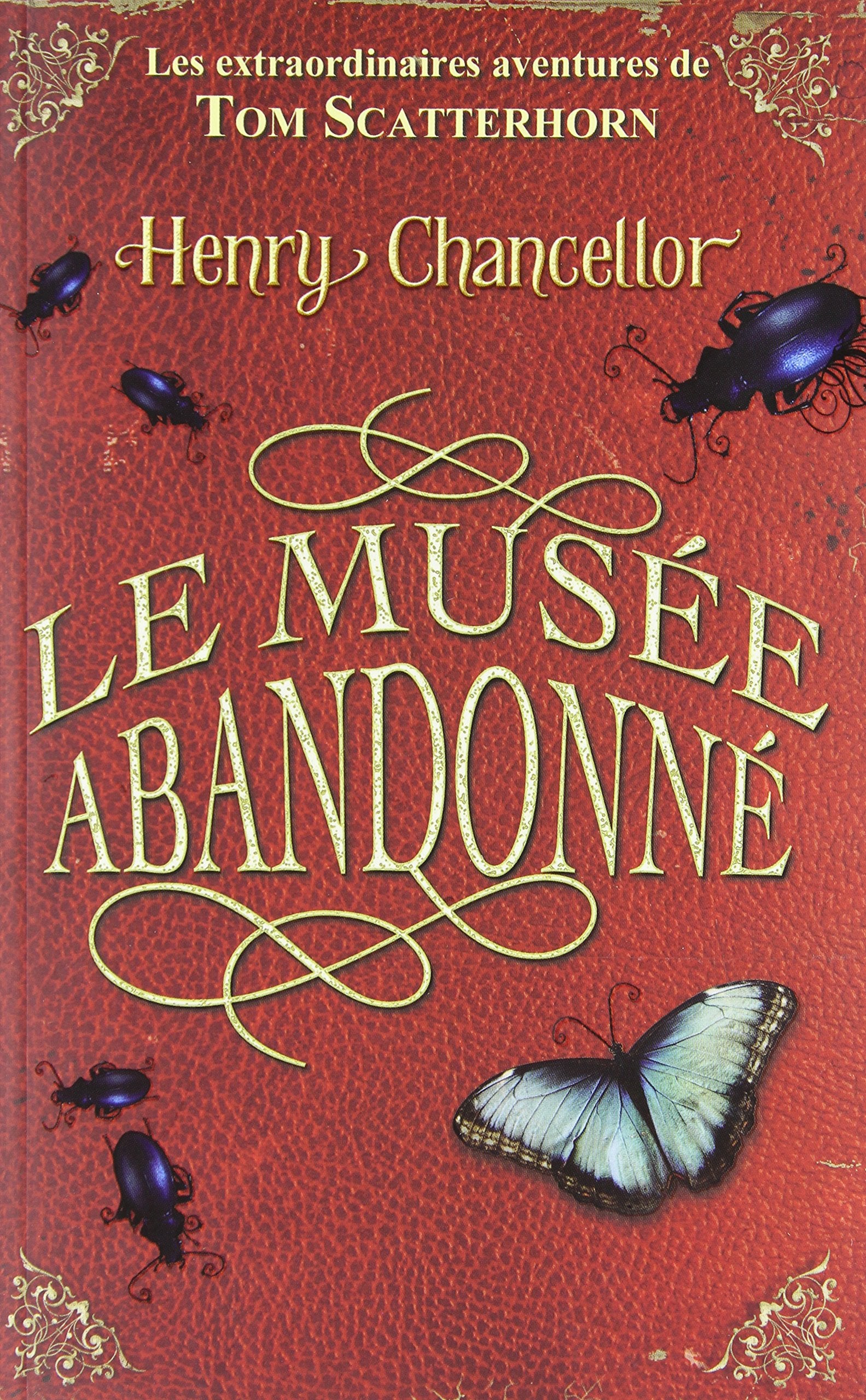 1. Les extraordinaires aventures de Tom scatterhorn 9782266174428