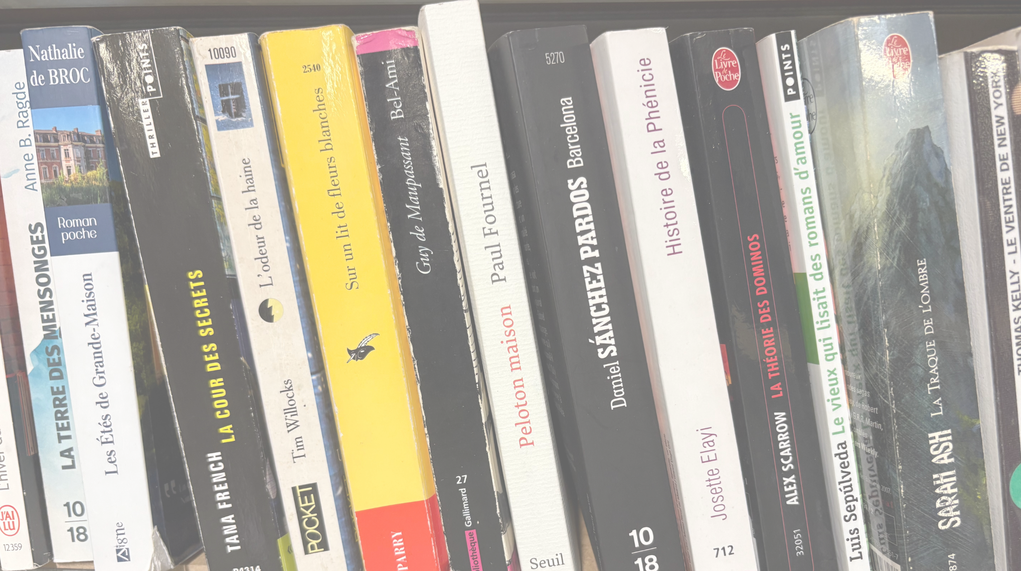 État d'un livre d'occasion : le guide pour ne plus se tromper