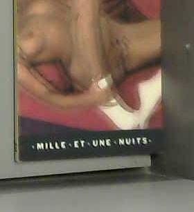 L'Exclue 9782842054663