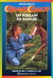 Un poulain en danger.: 2ème édition 9782227738874