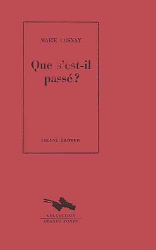 Que s'est-il passé ? 9782841160754