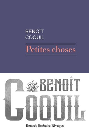 Petites choses 9782743660642