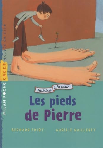 Les pieds de Pierre 9782745924964