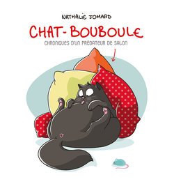 Le chat bouboule 9782298134926