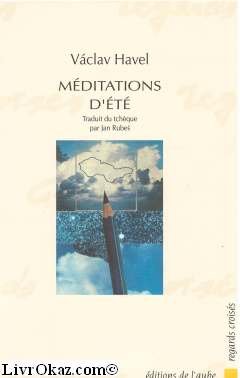 Méditations d'été 9782876781009
