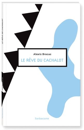 Le rêve du cachalot 9782848653716