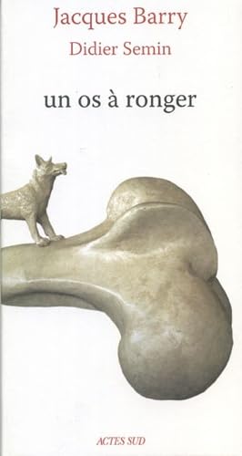 Un os a ronger 9782742788927