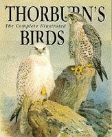 Thorburn's Birds 9781853264924