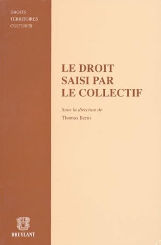 Le droit saisi par le collectif 9782802719076
